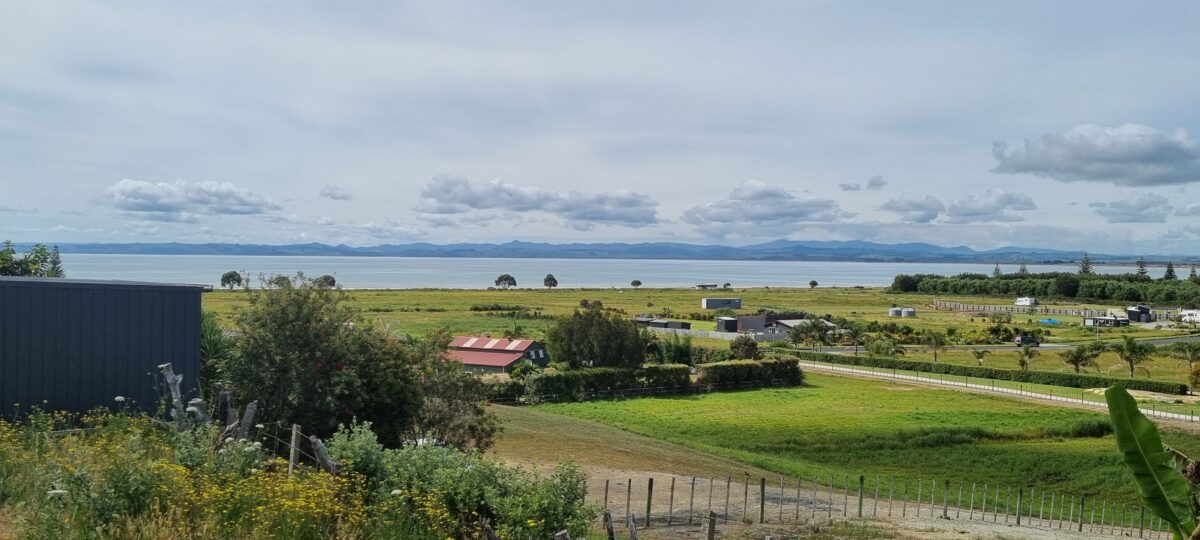 Build in Paradise Haze Real Estate