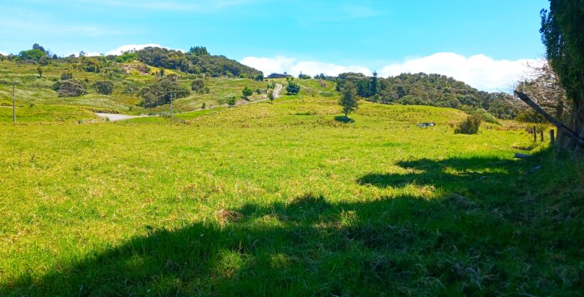 Lifestyle Section in Hokianga – Build your dream!