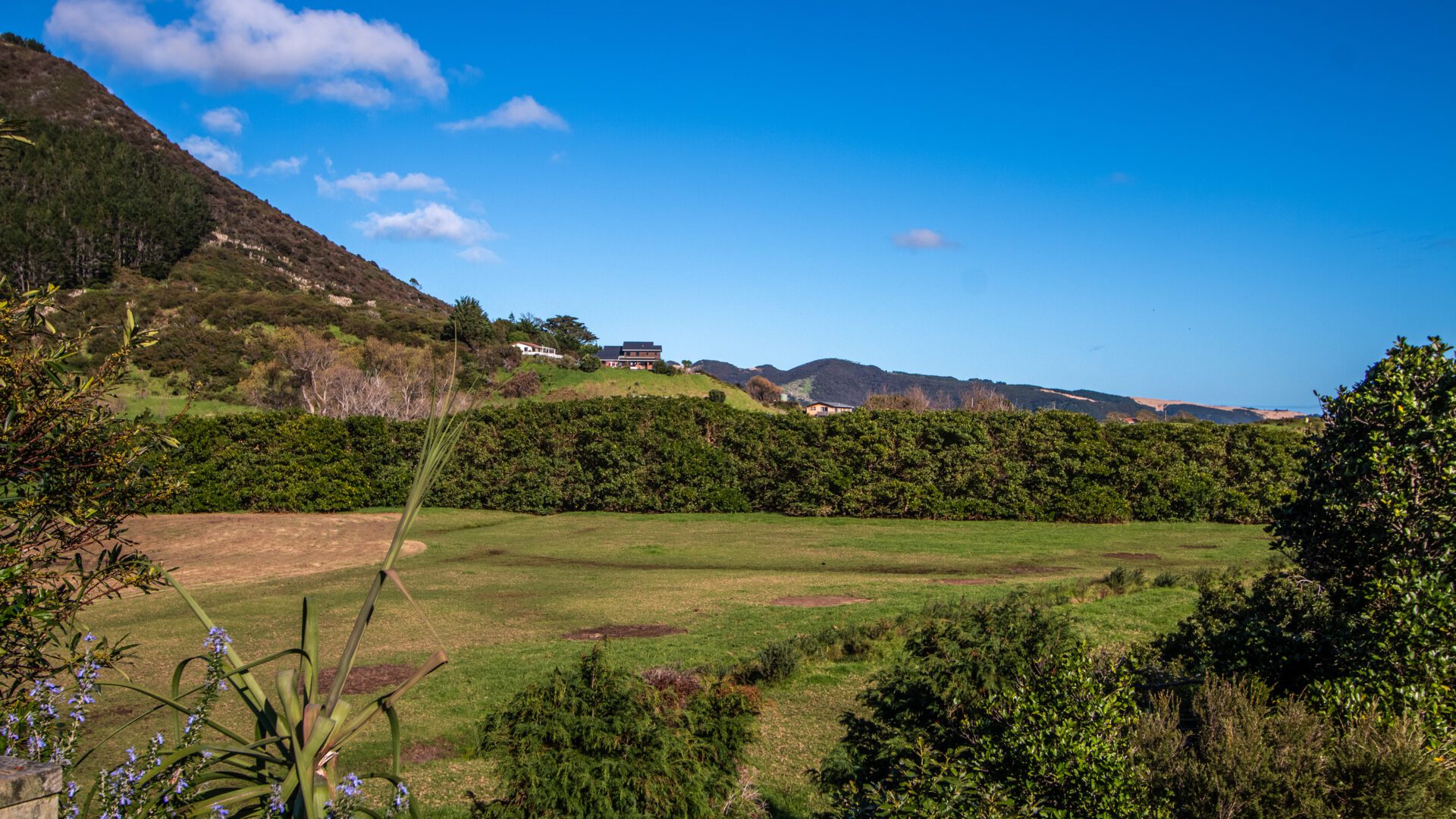 147018965__1746668442-39281-IMG4557-HDR