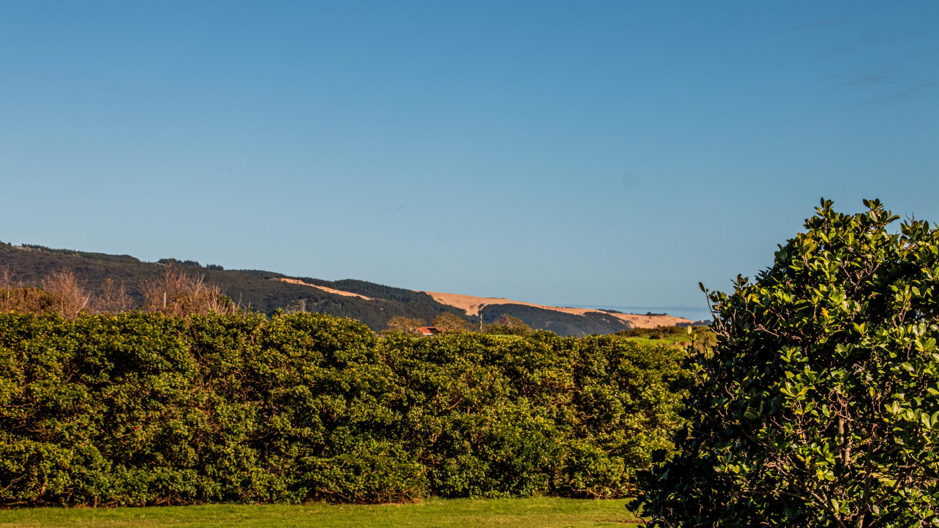 147018969__1746668444-48501-IMG4552-HDR