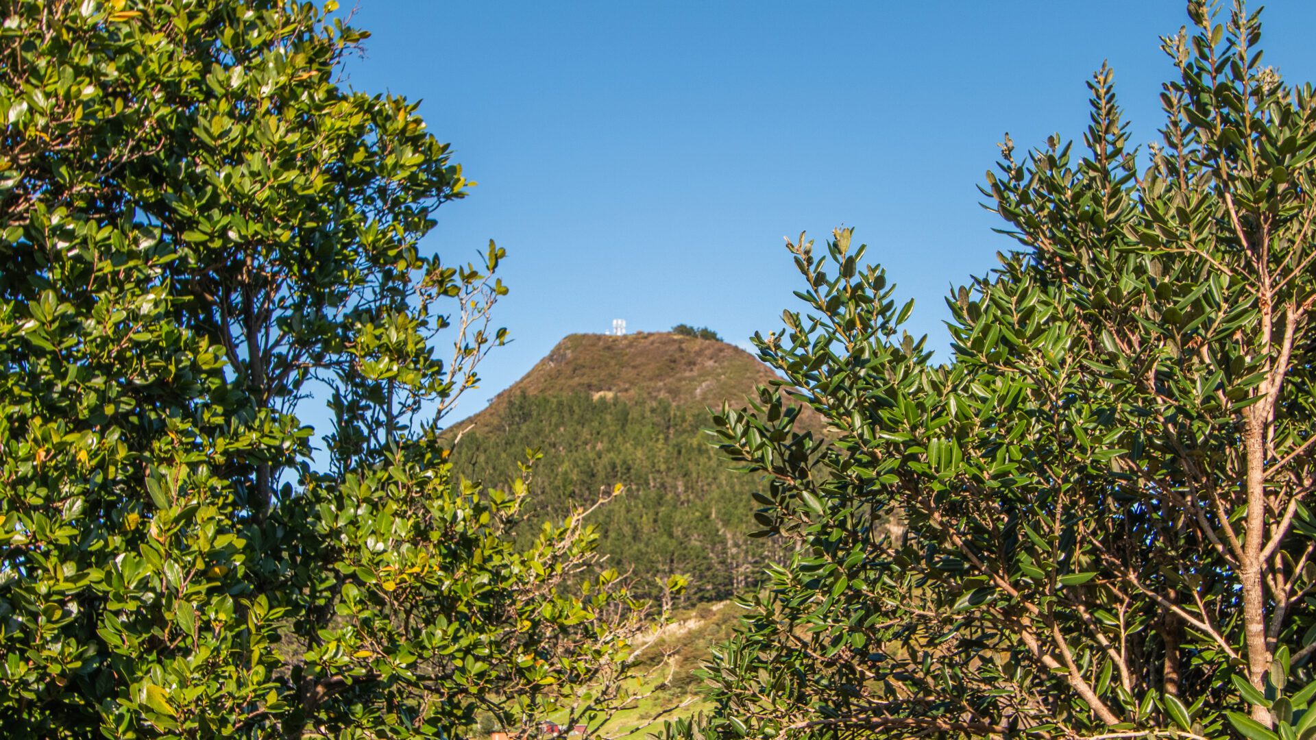 147018974__1746668447-39268-IMG4536-HDR