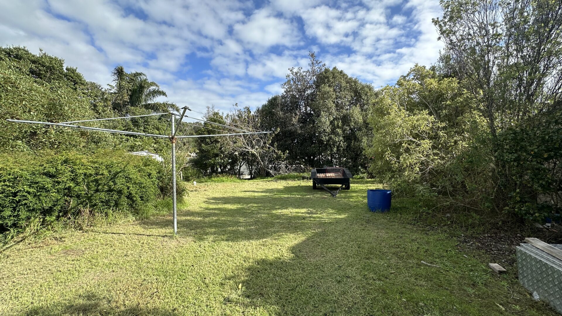 147535186__1747090798-26756-IMG2225