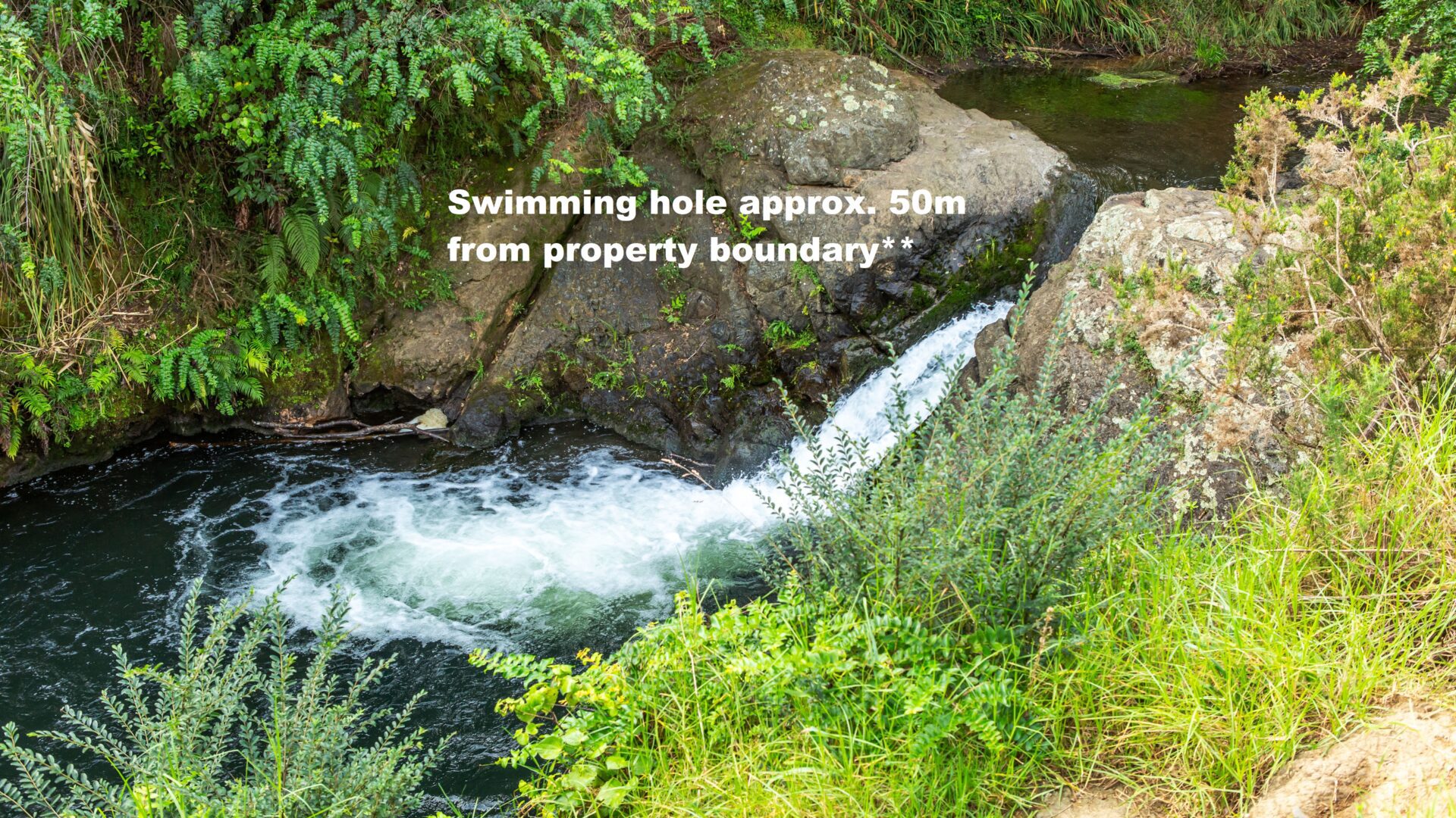 53399326__1649031026-3297-swimminghole