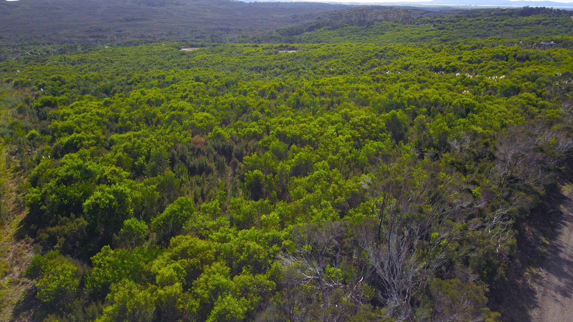 DCIM103MEDIADJI_0041.JPG