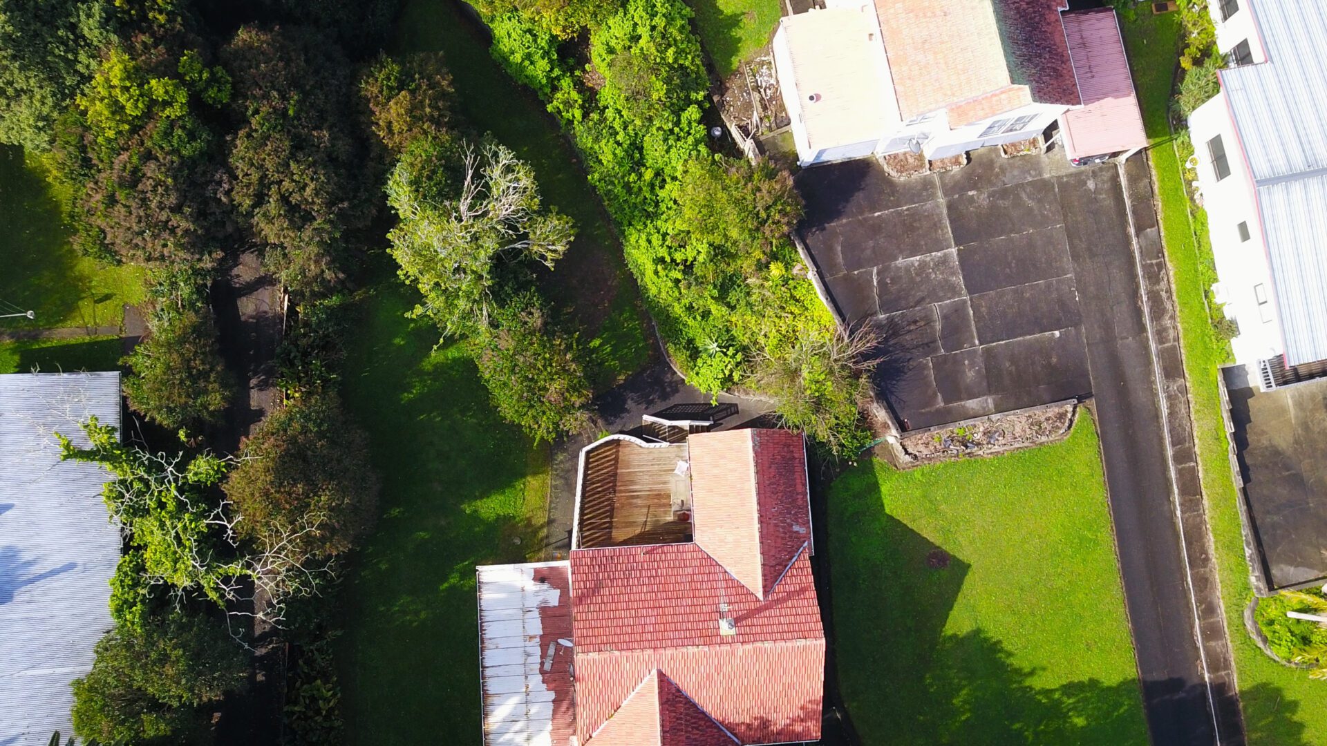155824958__1752721774-60291-DJI0163