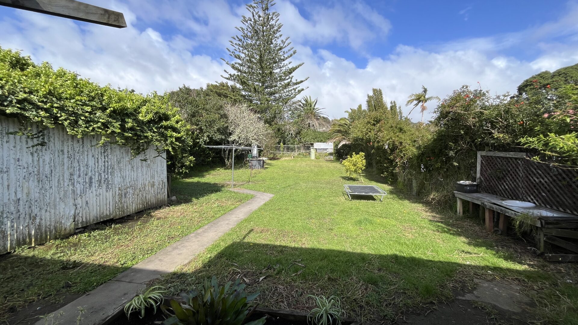 159798394__1755553782-9487-IMG4710