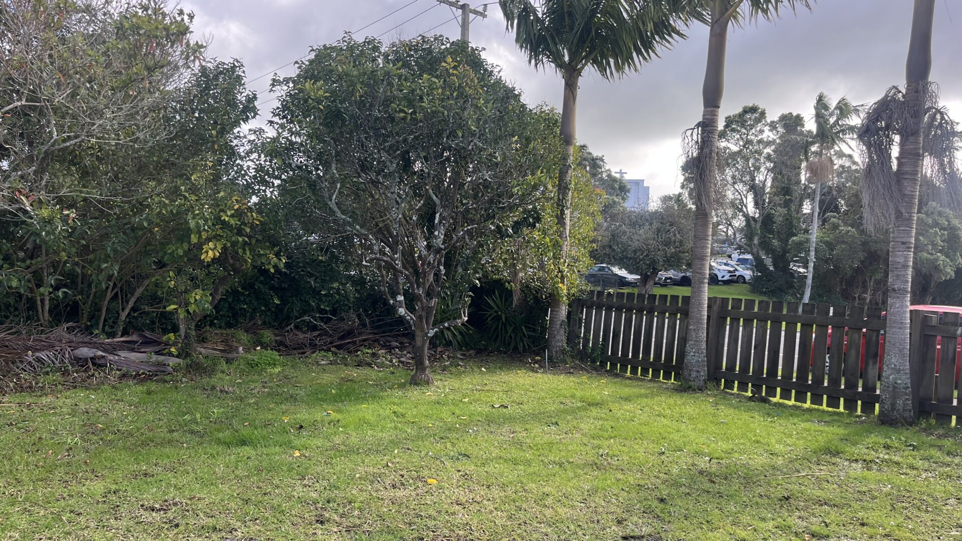 159798469__1755553800-9397-IMG4717