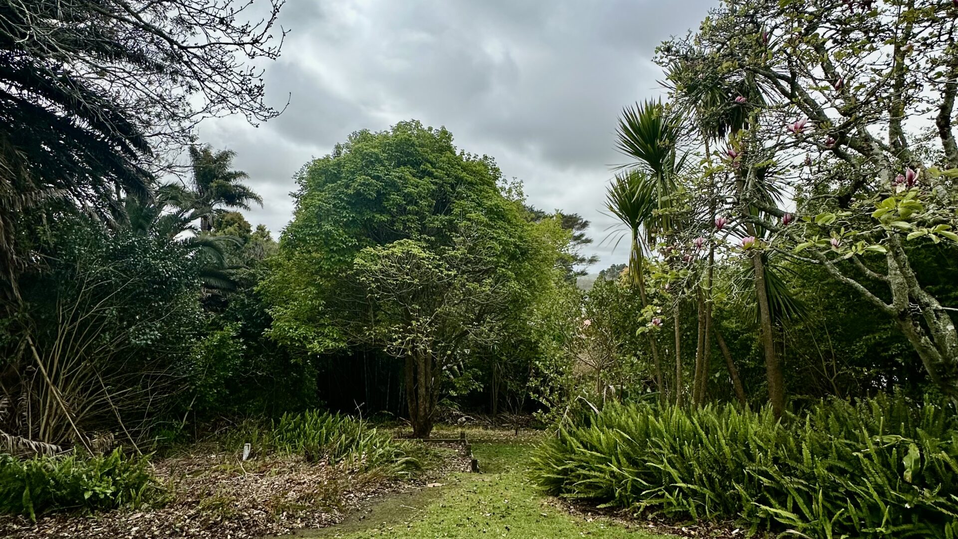 162967859__1757539690-8948-IMG4576
