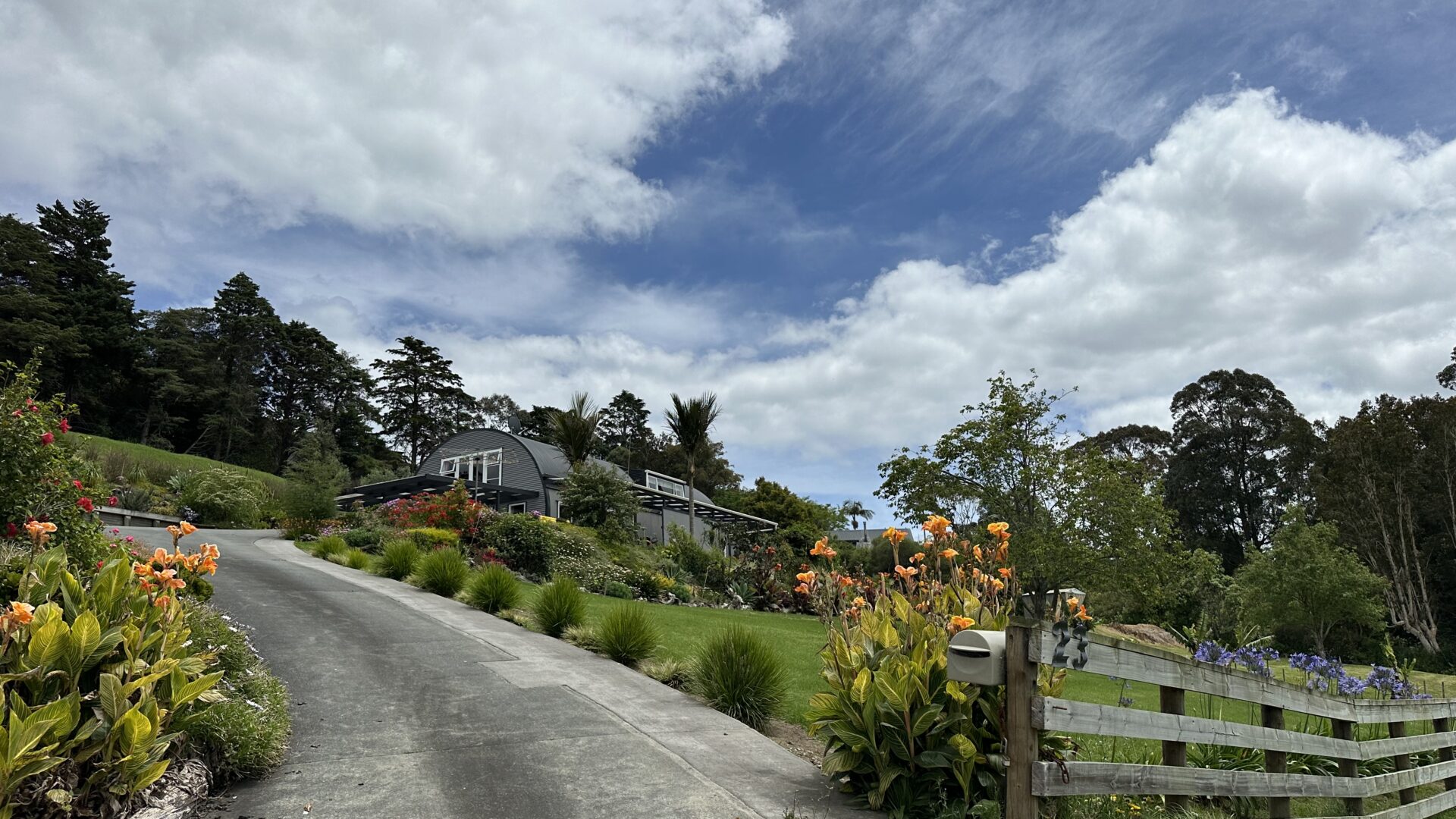 122469764__1732048713-100062-IMG8240