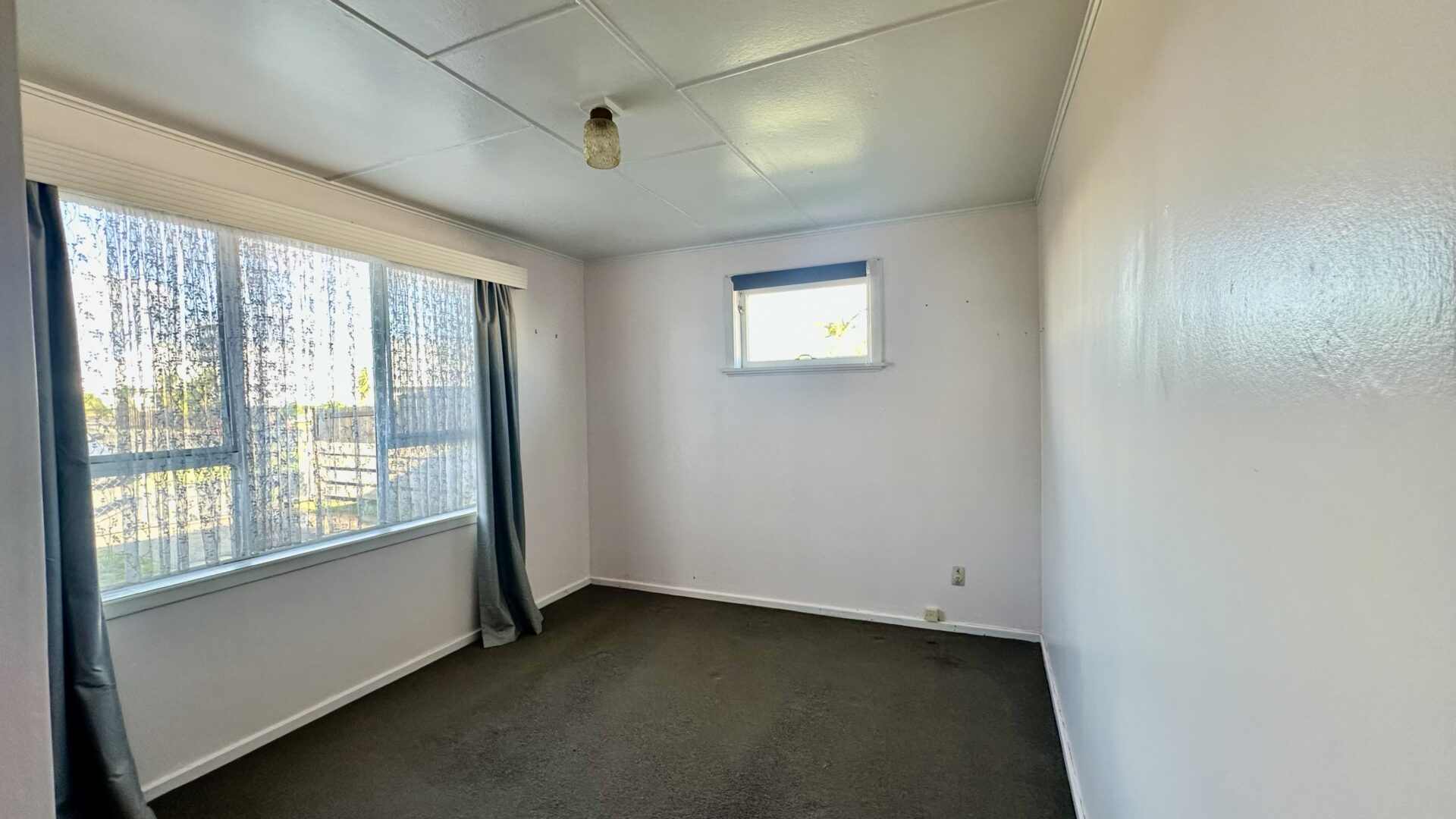 156181203__1753067380-55836-IMG3793