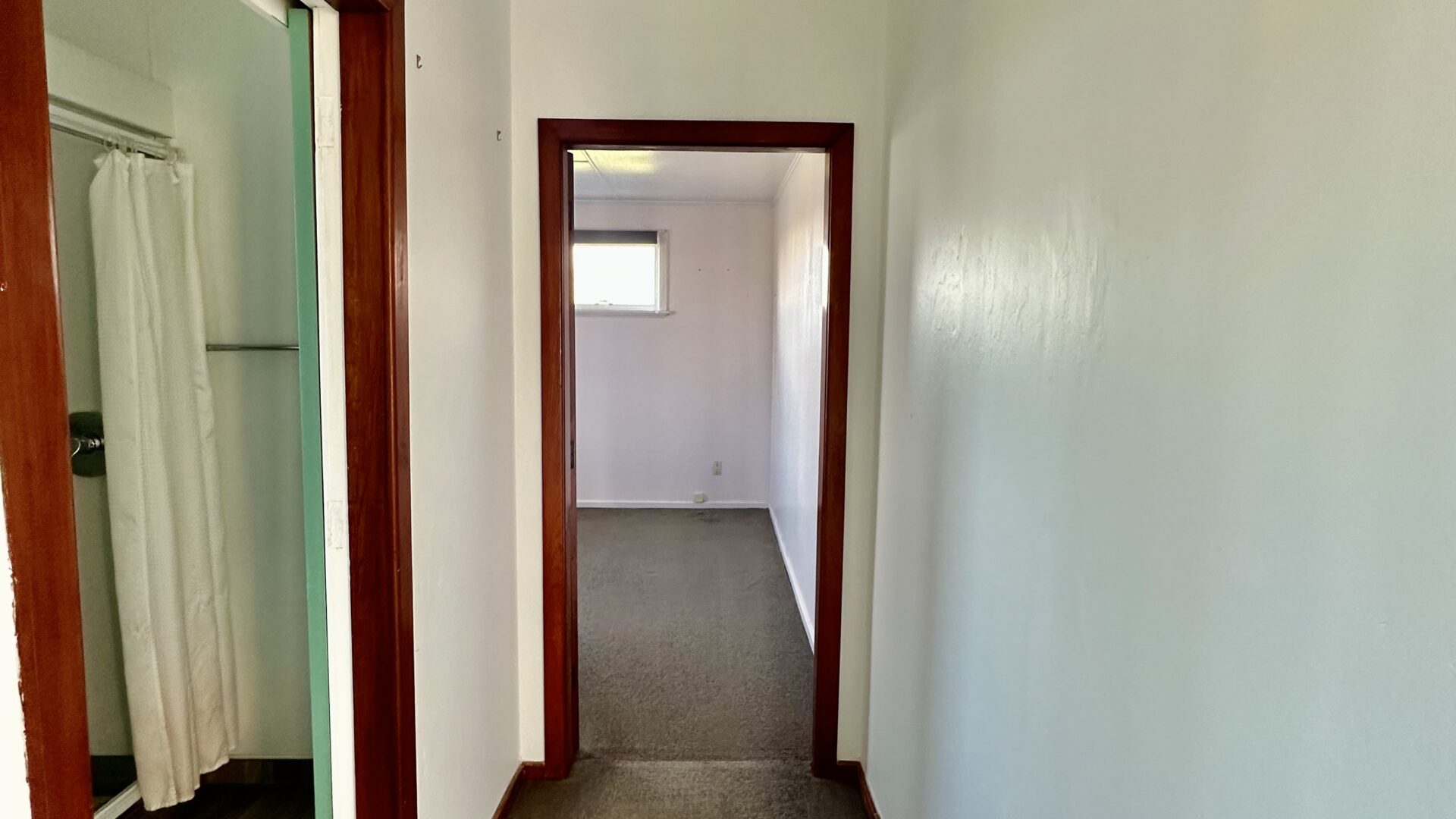 156181205__1753067382-65171-IMG3790