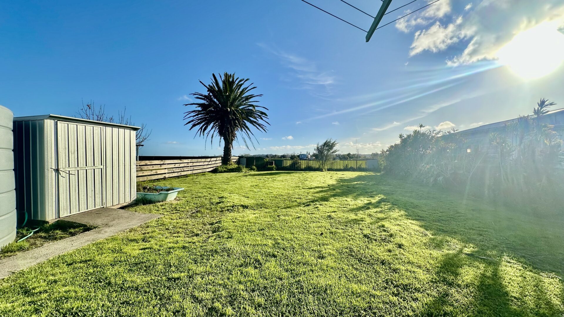 156181209__1753067385-65358-IMG3785