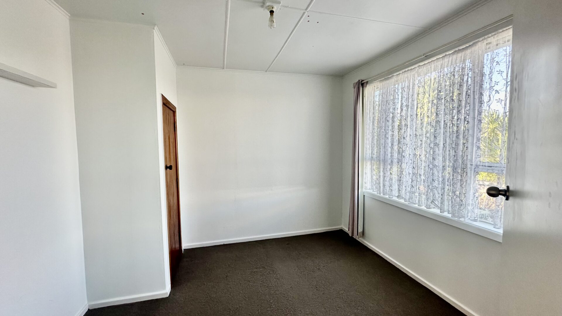 156181215__1753067390-55842-IMG3788