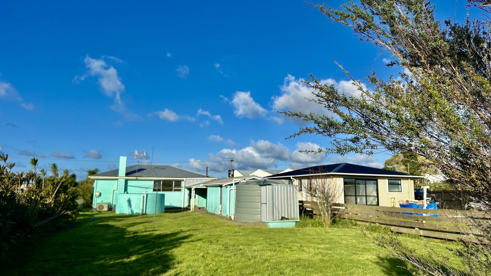 156181219__1753067395-55913-IMG3779