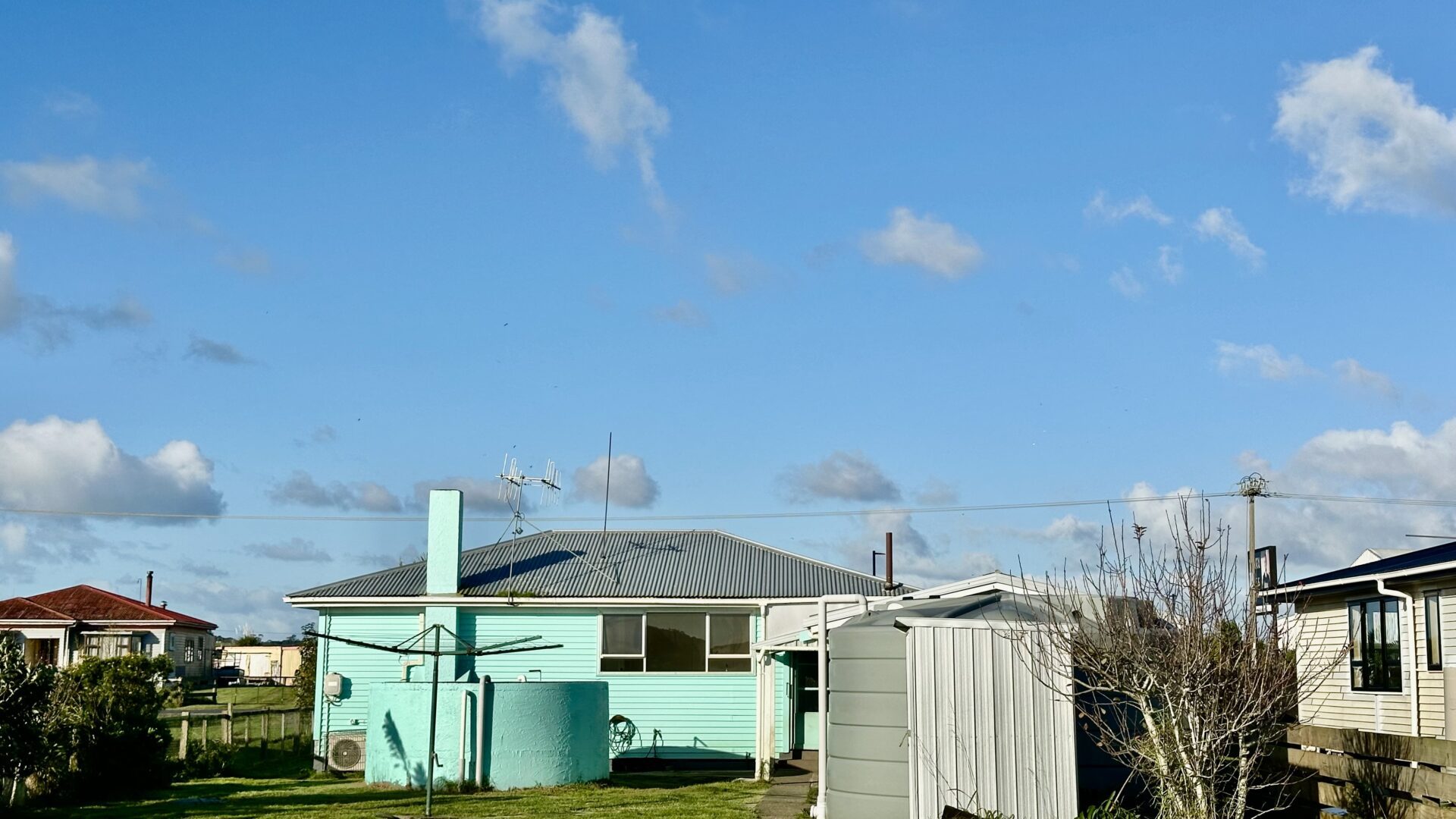 156181222__1753067398-65214-IMG3783