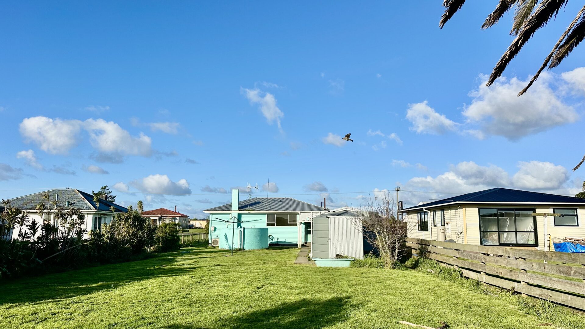 156181229__1753067406-55948-IMG3781