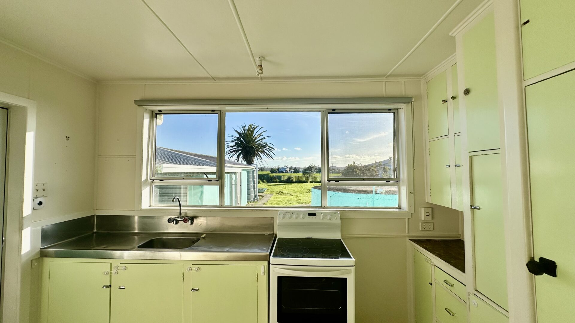 156181234__1753067412-65457-IMG3805