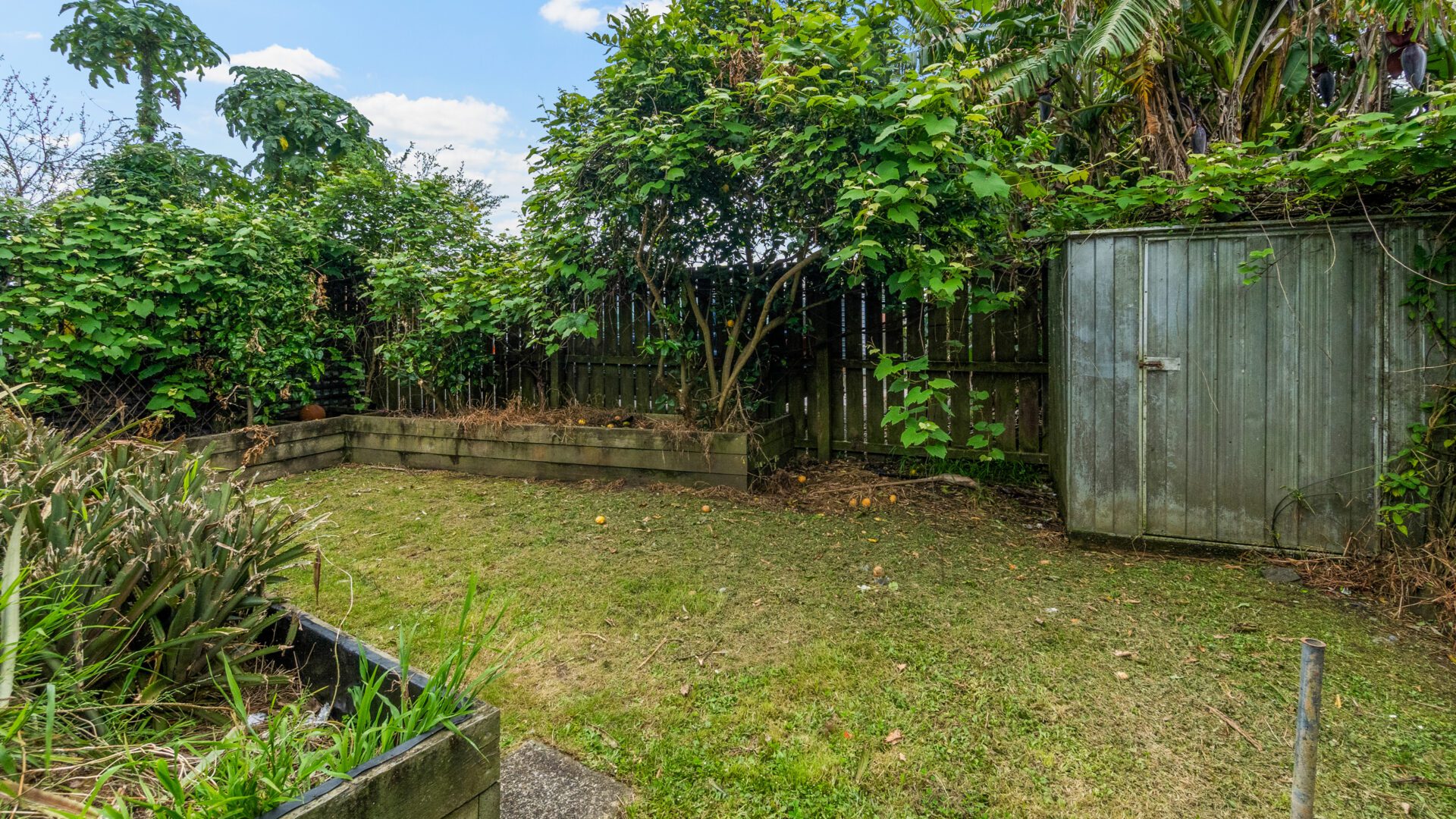 168369294__1760649952-8943-GardenShed