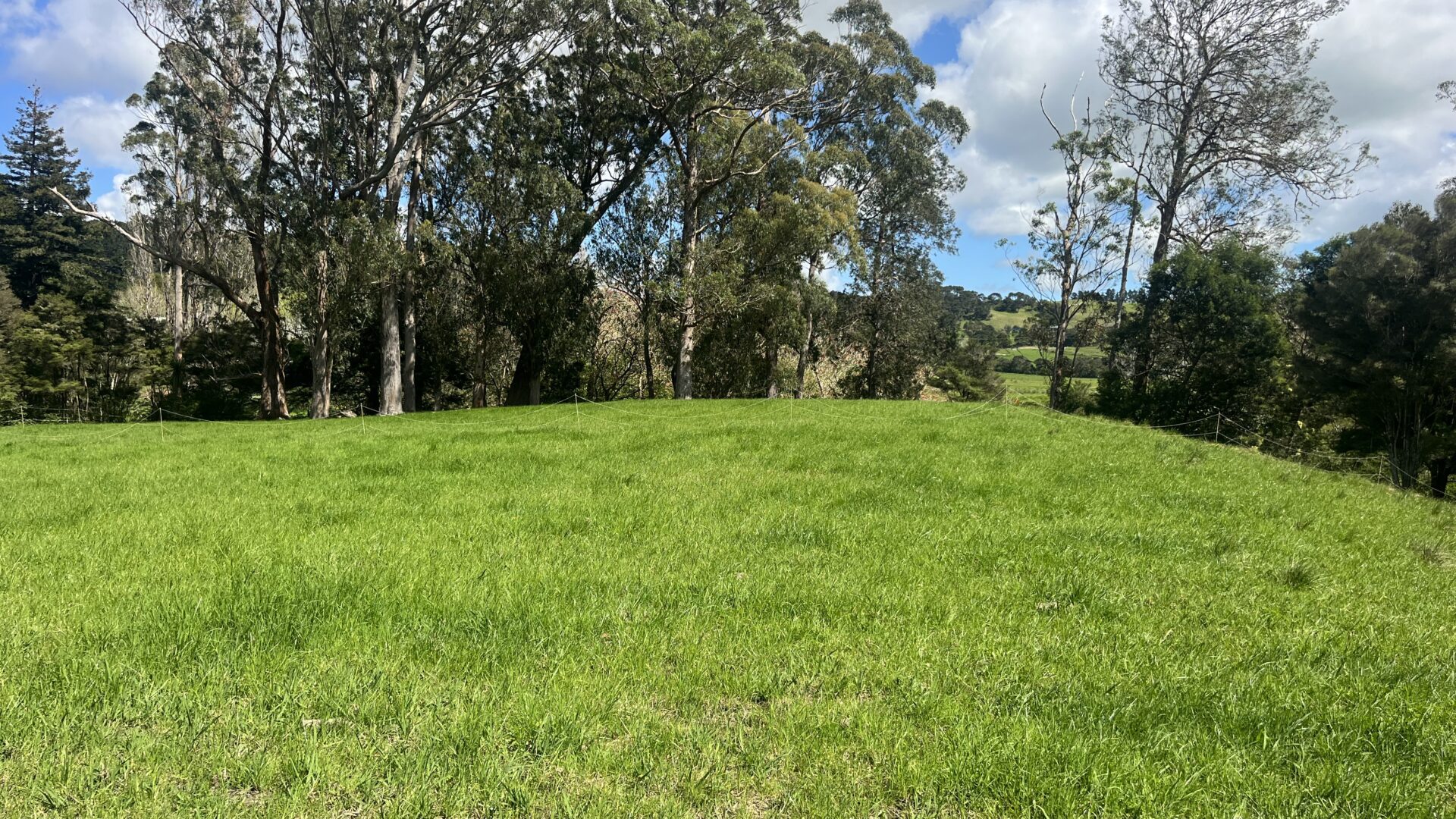 168379411__1760652180-25842-IMG7131