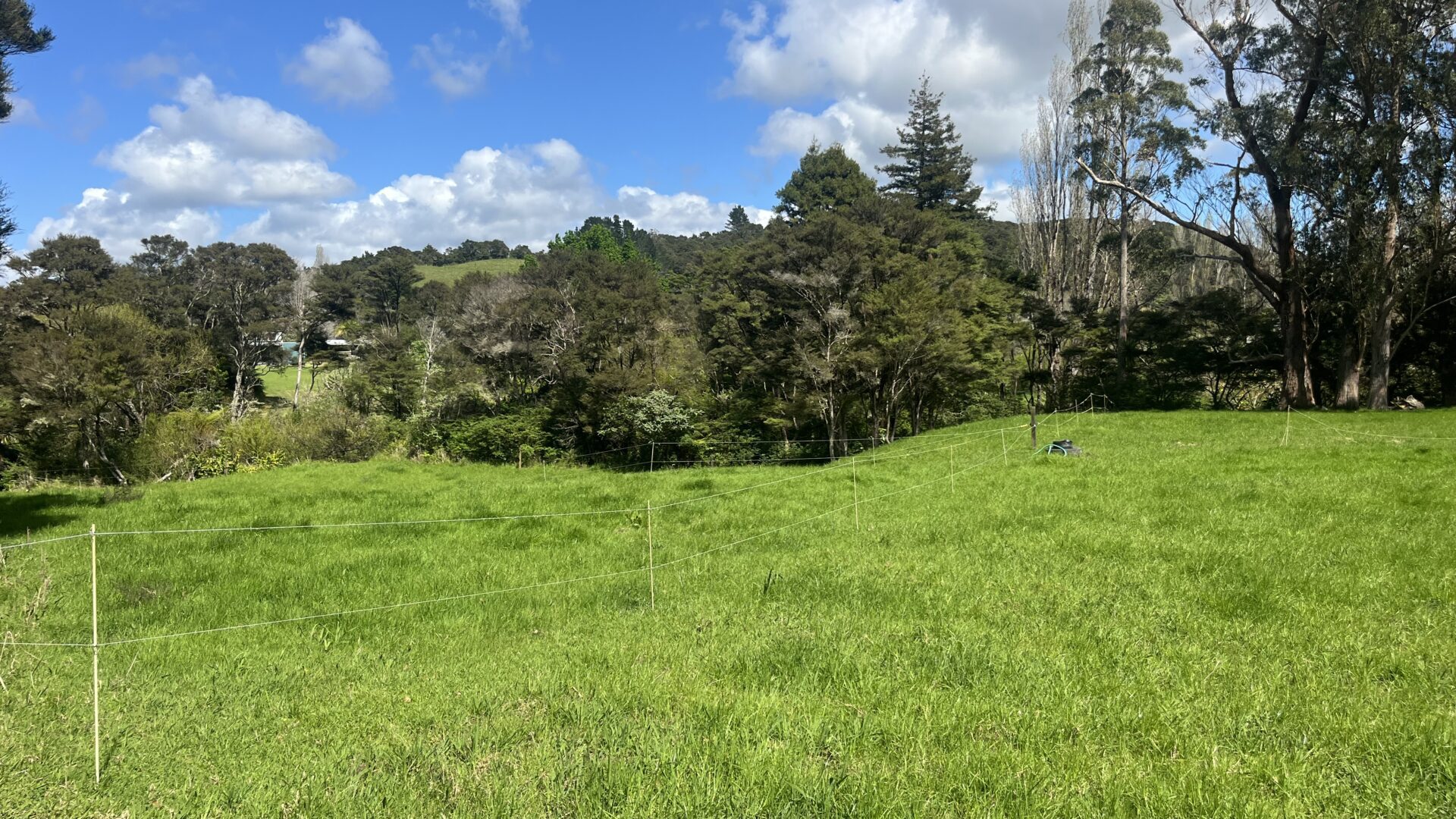 168379414__1760652182-13959-IMG7134