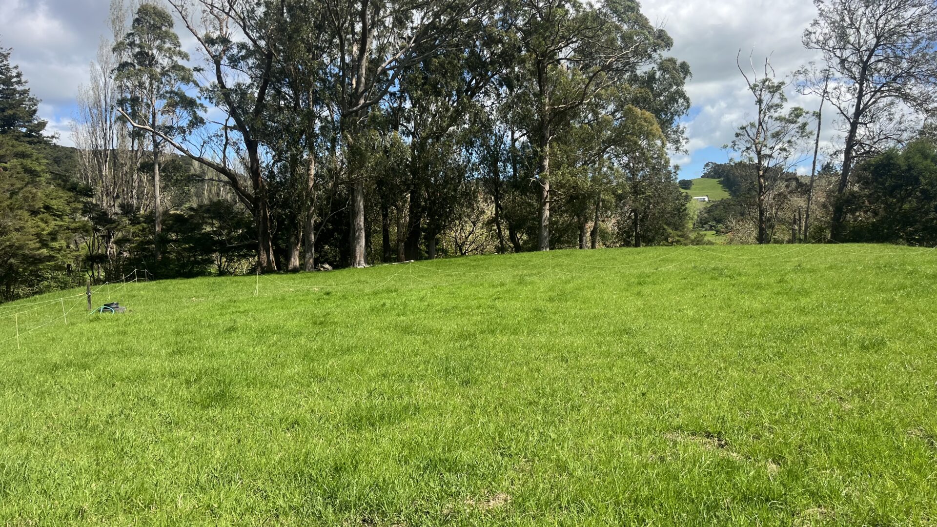 168379423__1760652187-25976-IMG7135