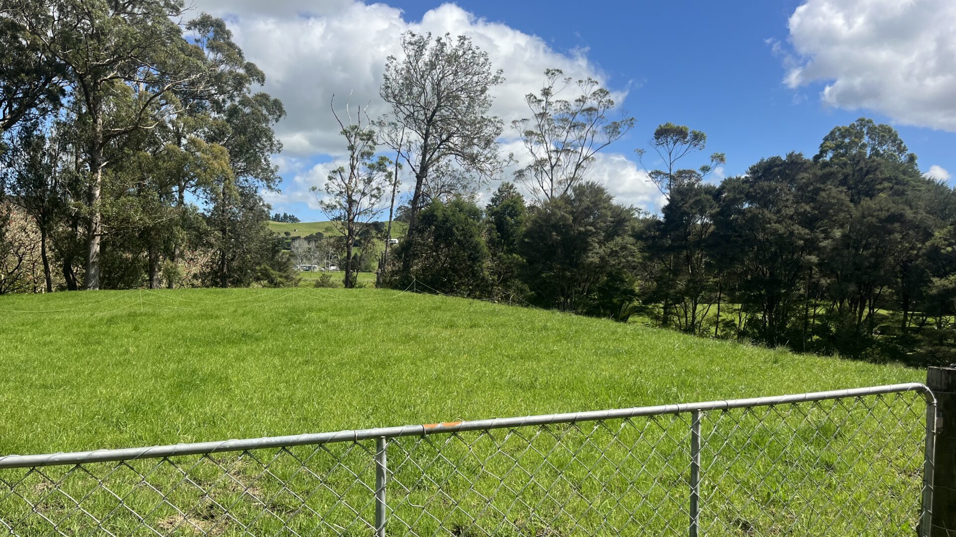 168379431__1760652190-26057-IMG7138