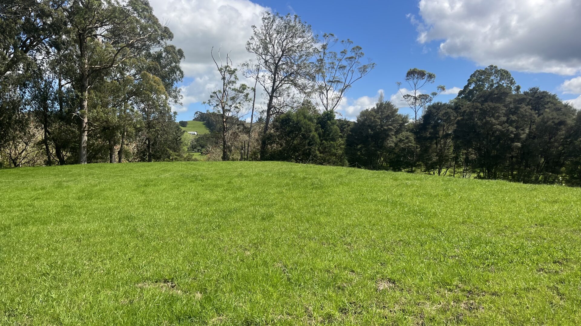 168379435__1760652192-26189-IMG7136