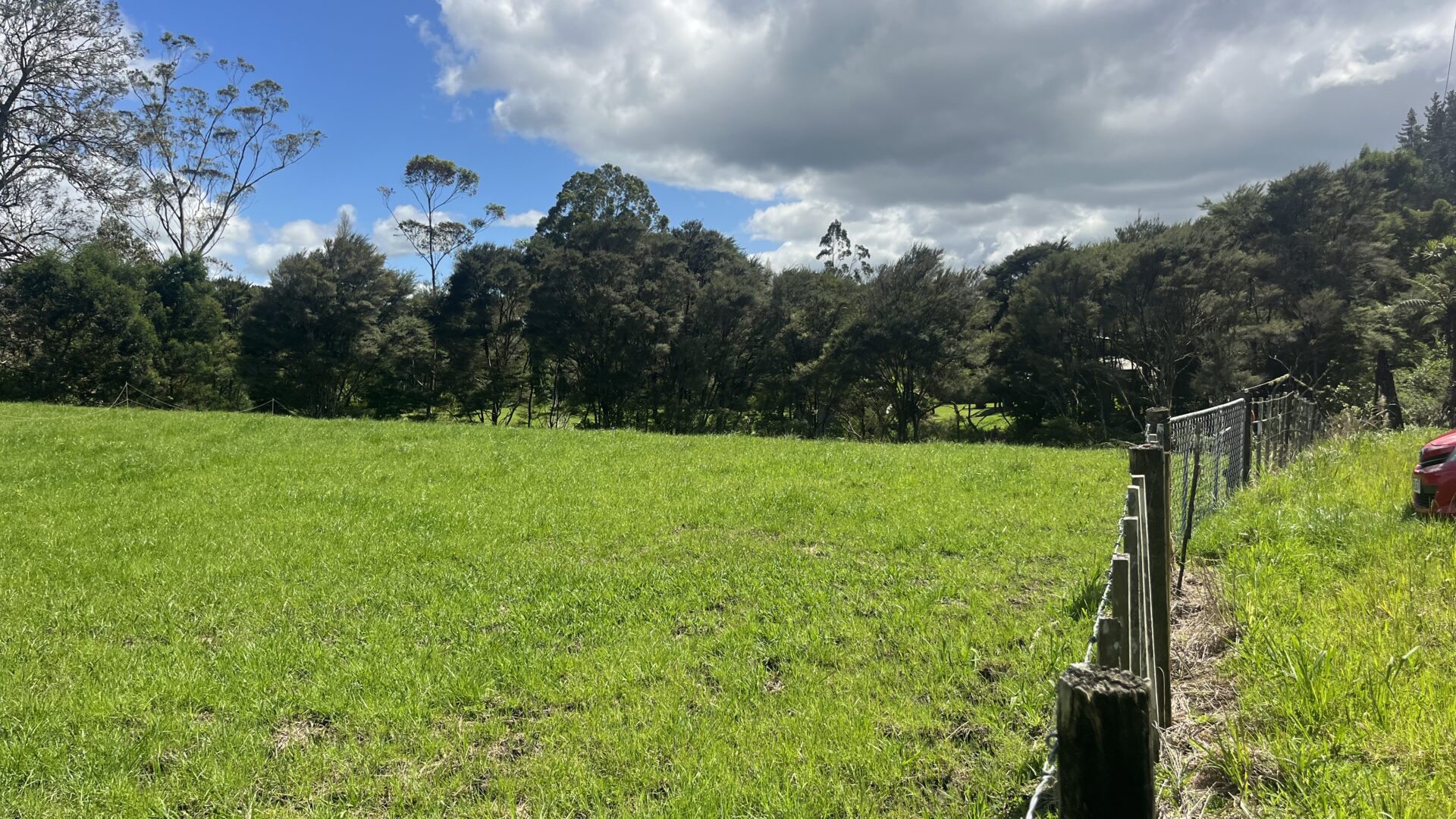 168379438__1760652194-13669-IMG7137