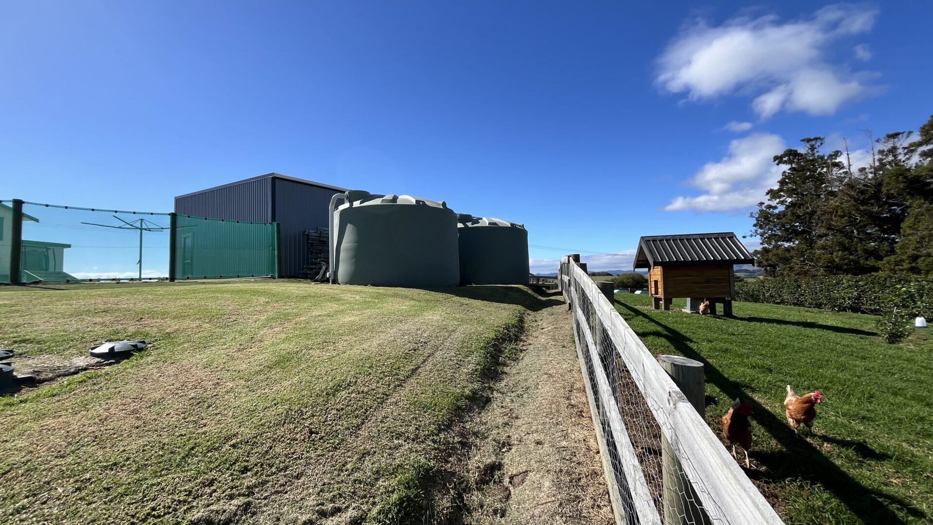 143959369__1744598570-62516-IMG0186