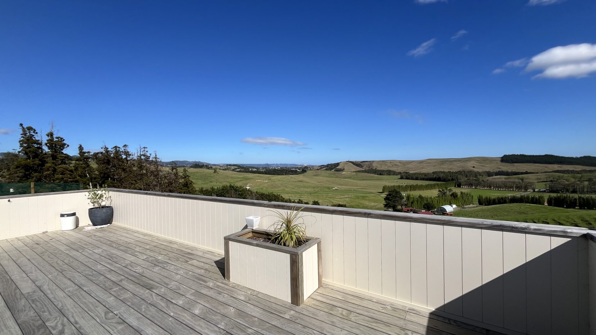 143959776__1744598655-53205-IMG0118