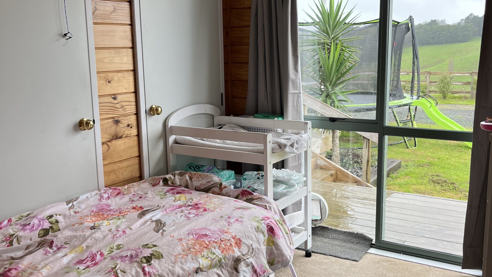 145044334__1745447032-12999-IMG0836