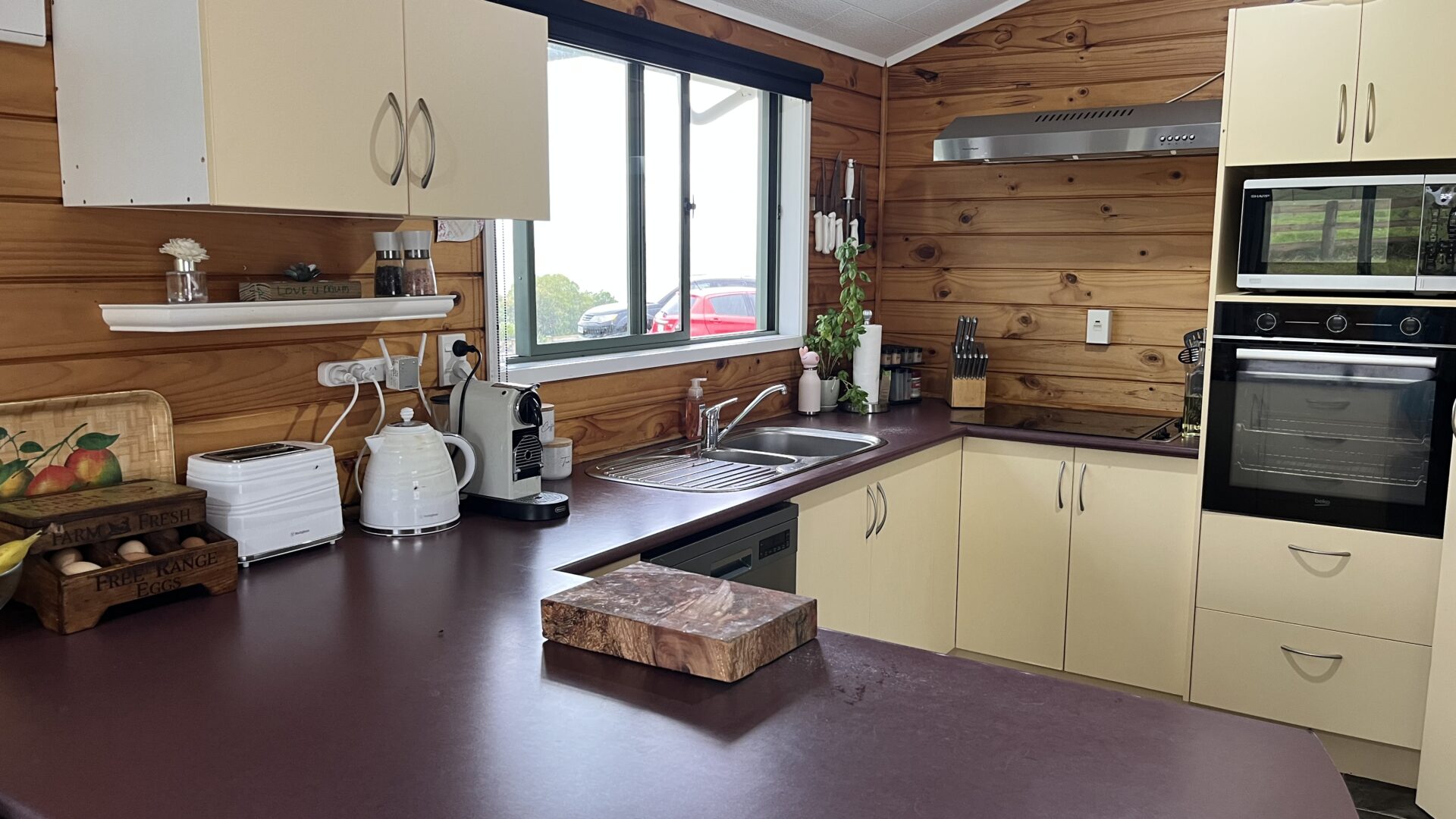 145044365__1745447066-13092-IMG0821