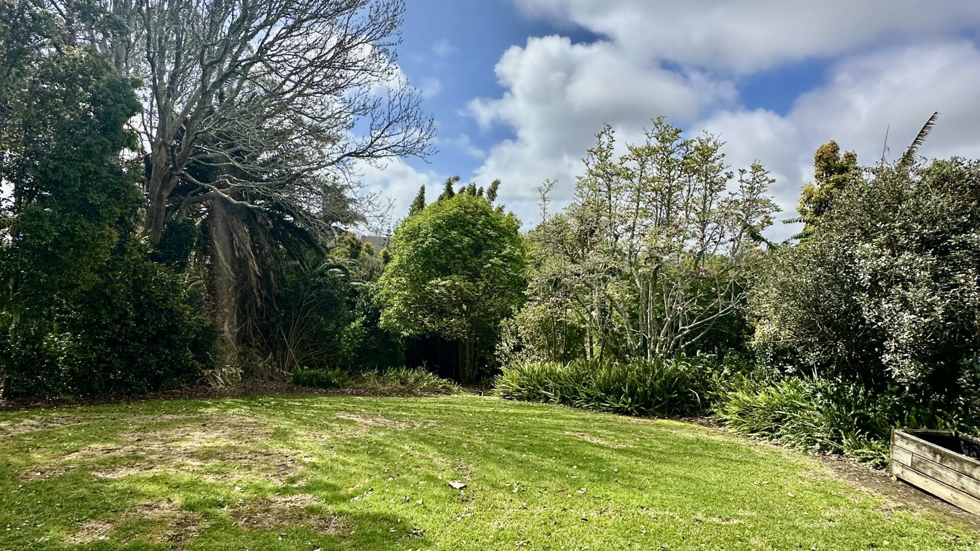 162967345__1757539611-8872-IMG4621