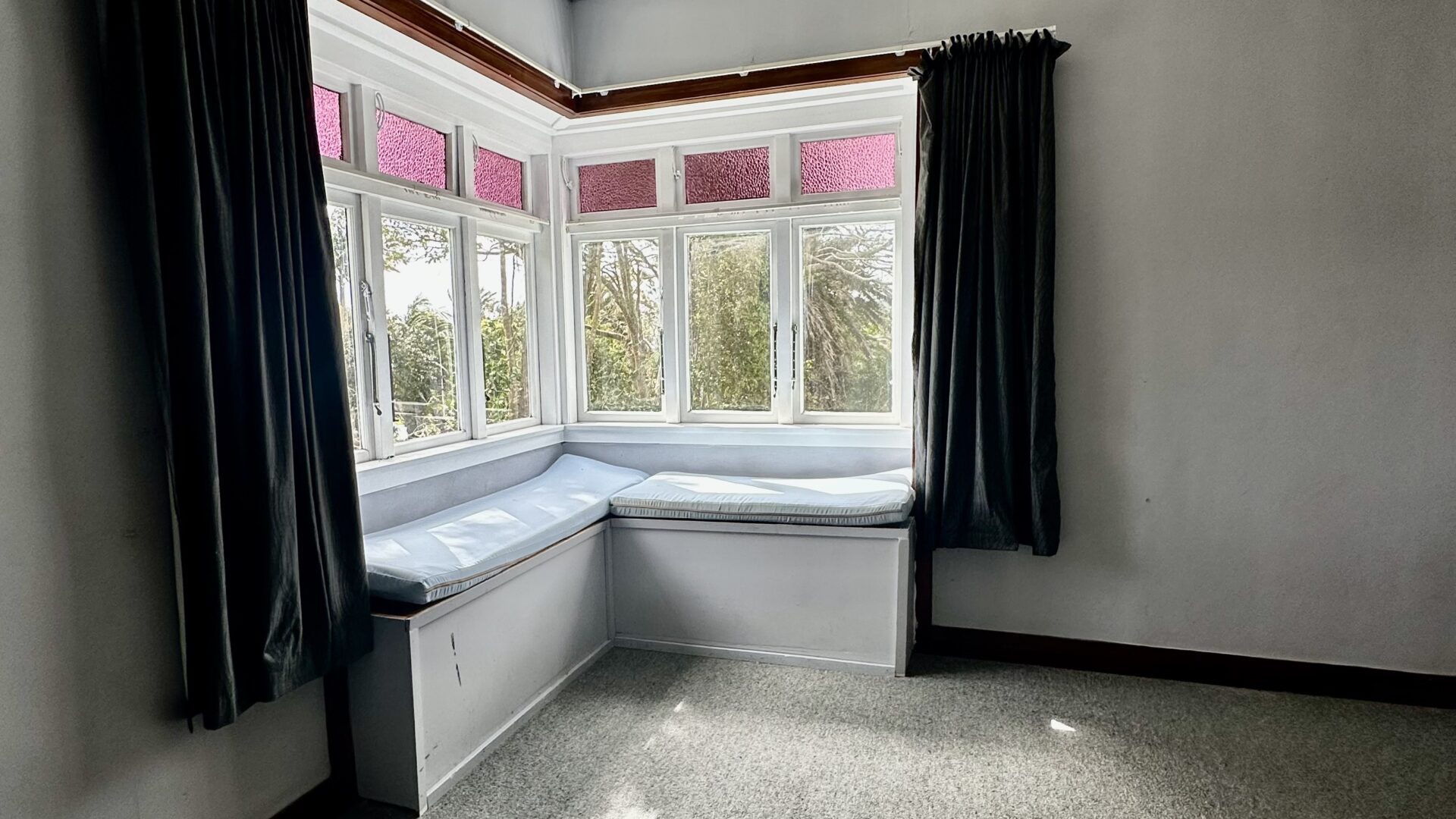 162967401__1757539619-8859-IMG4625