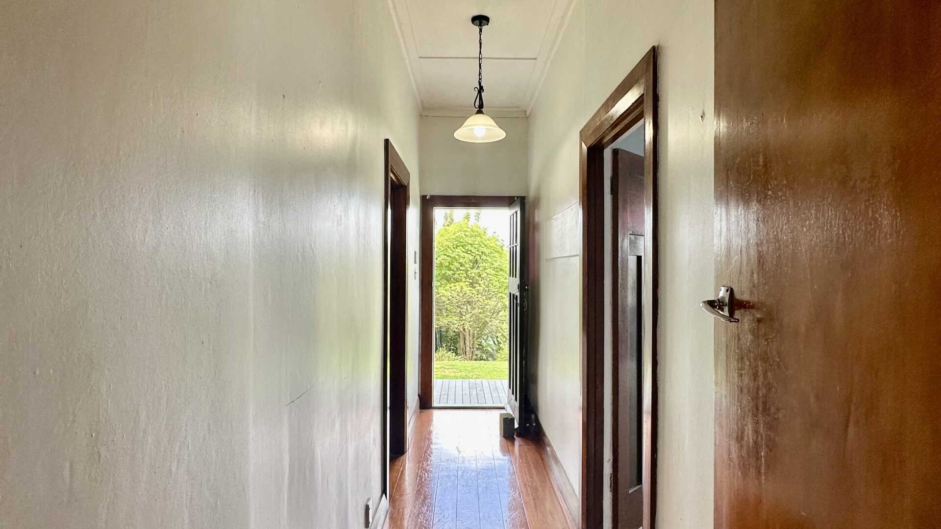 162967504__1757539634-20365-IMG4615