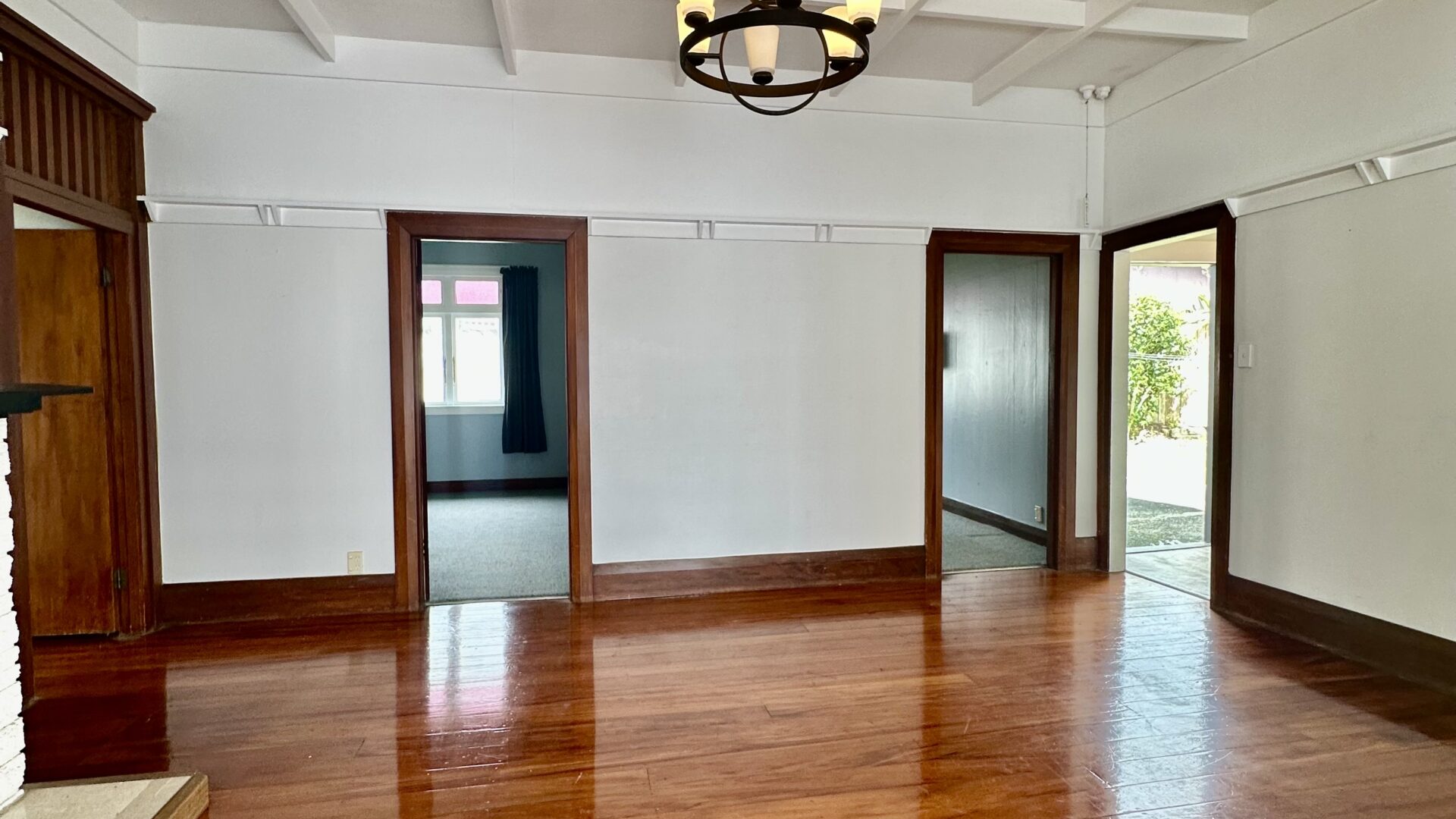 162967604__1757539645-20444-IMG4603