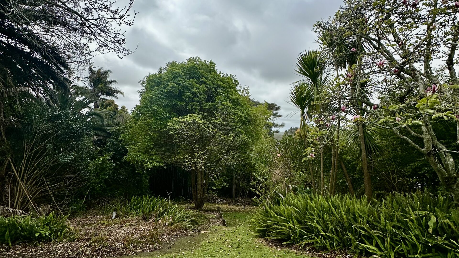 162967854__1757539685-20524-IMG4577