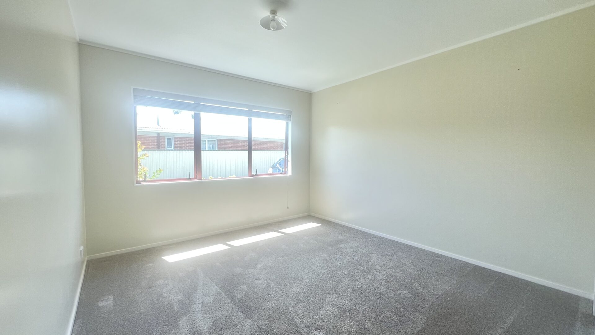 169919025__1761610108-1761610095