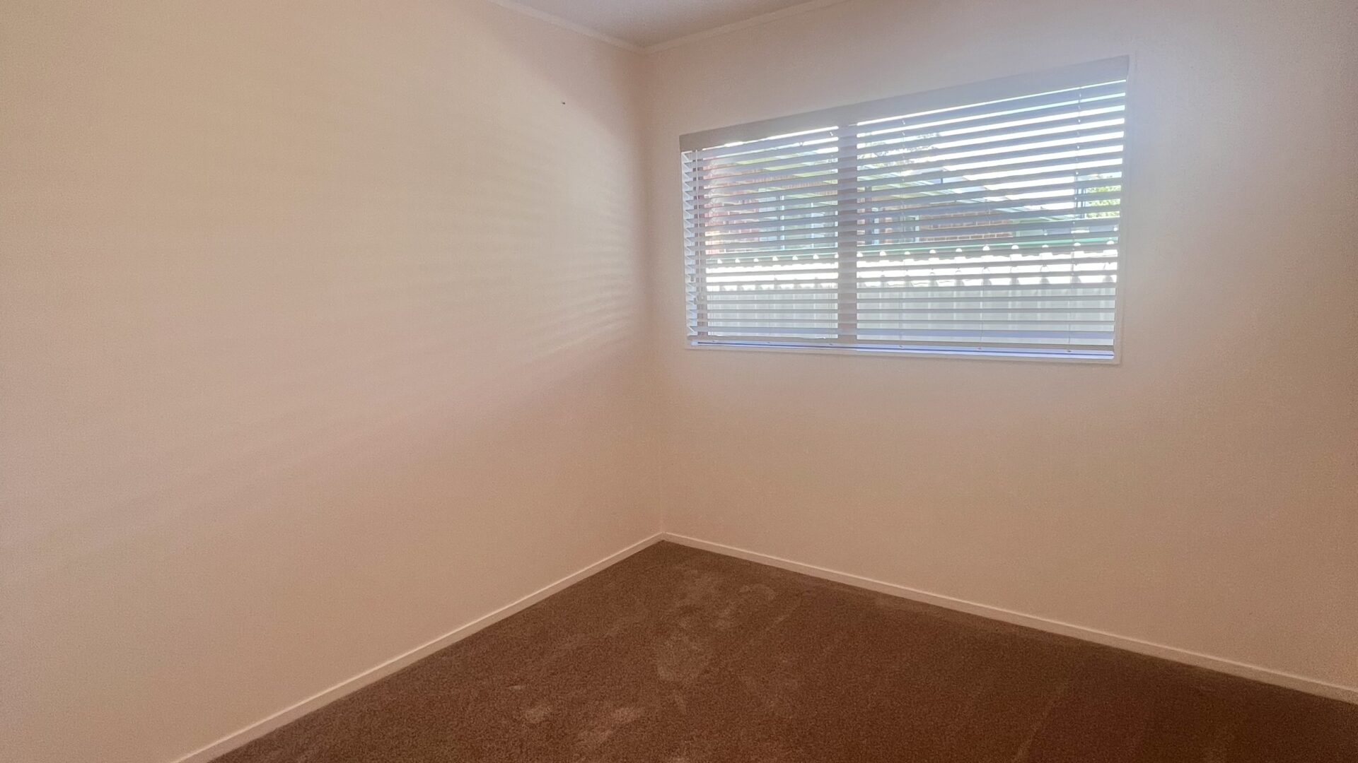 169928456__1761611561-1761611550