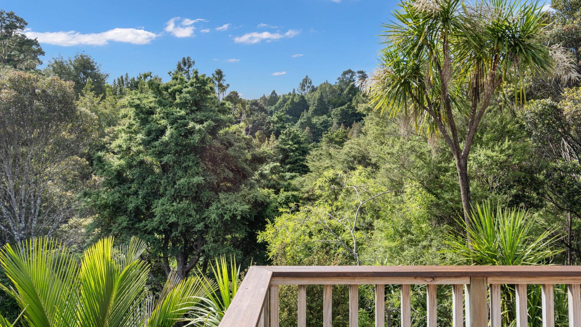 172196763__1762122899-19063-18ClaphamRoad-6