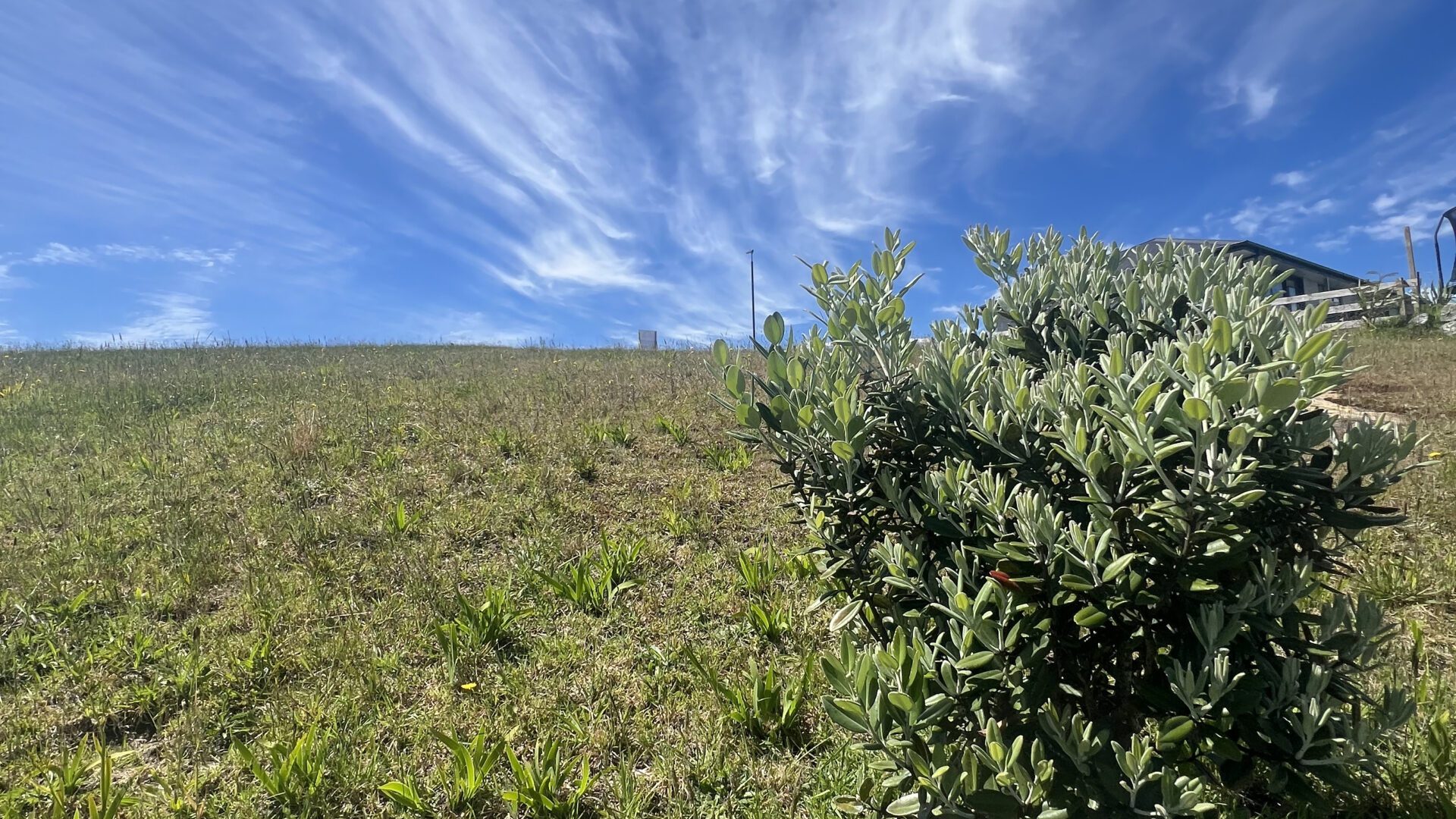 172608338__1762194681-56734-IMG6434