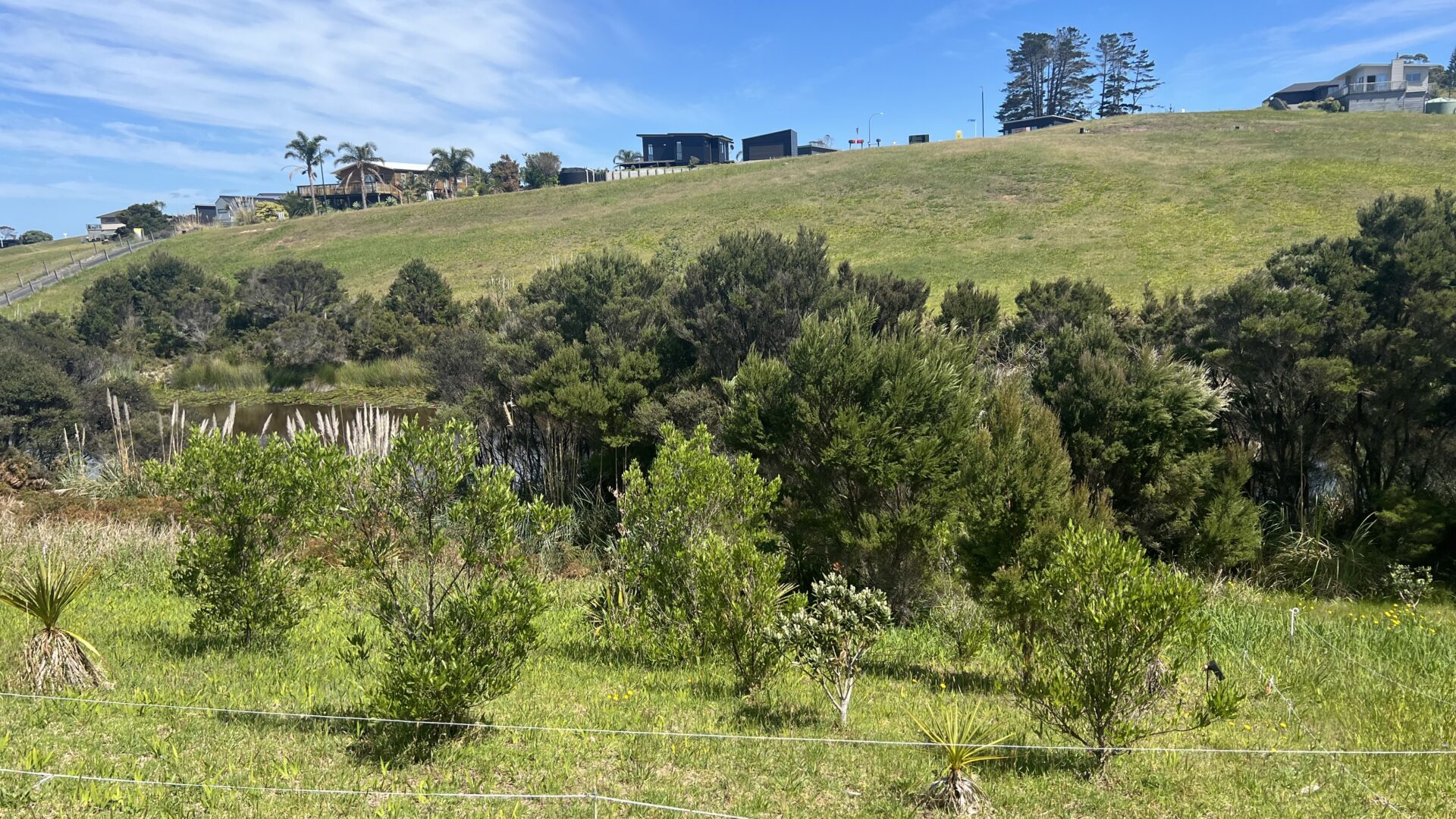 172608367__1762194692-97345-IMG6432