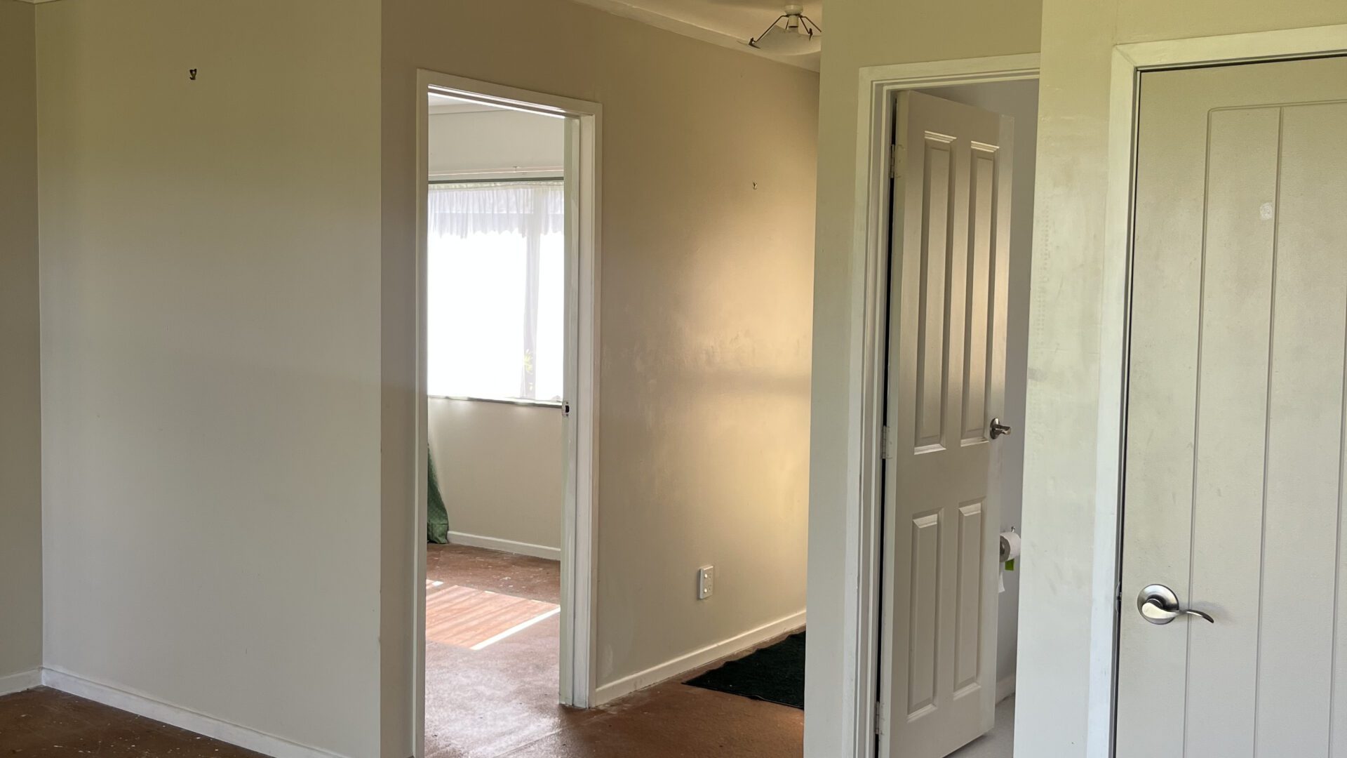 173405185__1762387920-47670-IMG7757