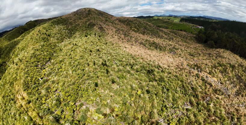 Build, Explore, Go Wild on 10ha Off-Grid!