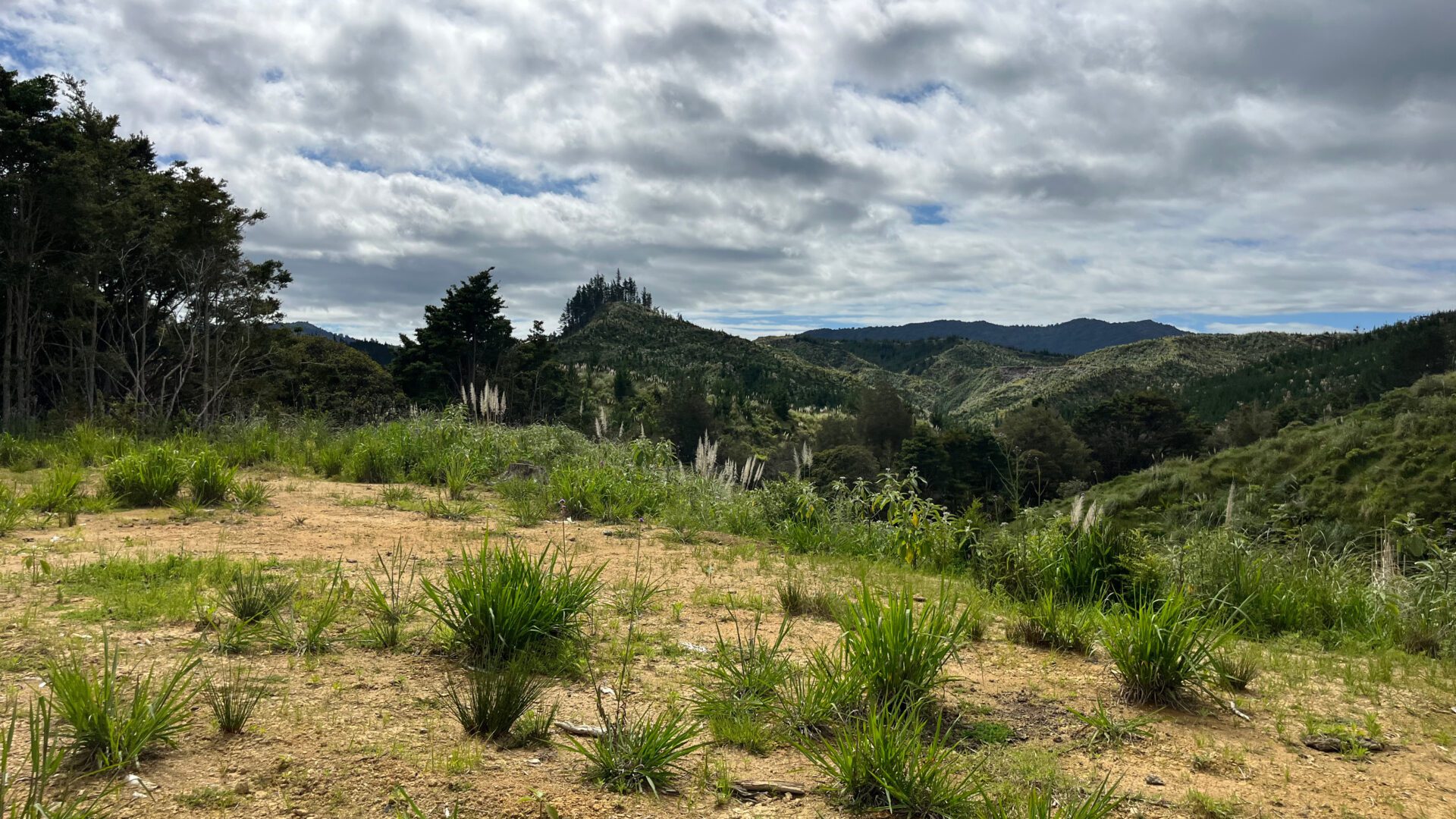 173869664__1762726101-28583-fa33e902-9681-4b05-af1b-50f34a2bf329