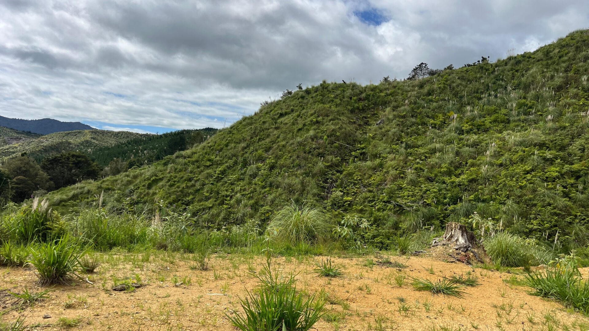 173869765__1762726108-28488-42ca86ea-e4e0-4d2a-8898-3188fb1114ee