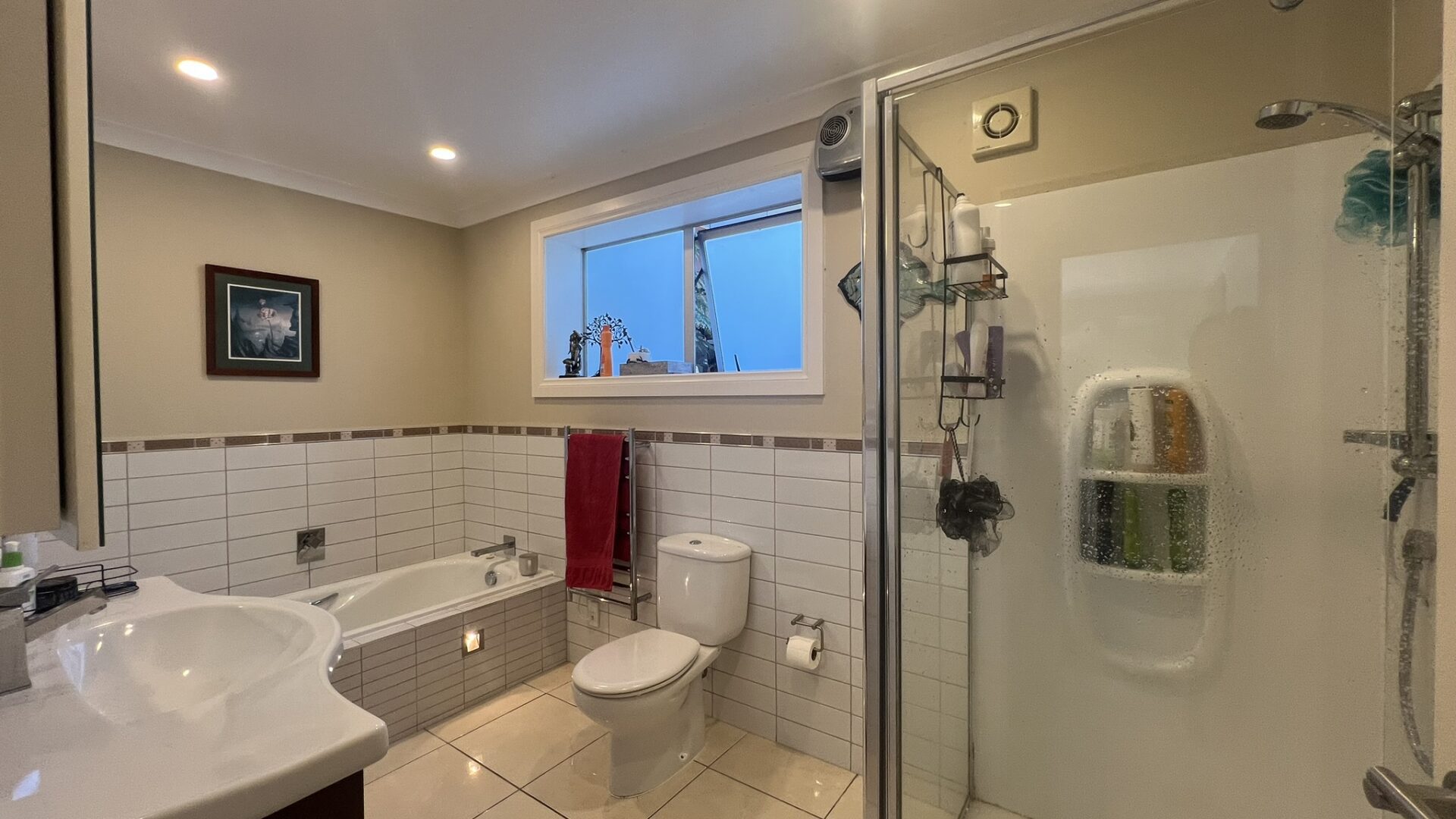 173924100__1762734091-51525-IMG6493