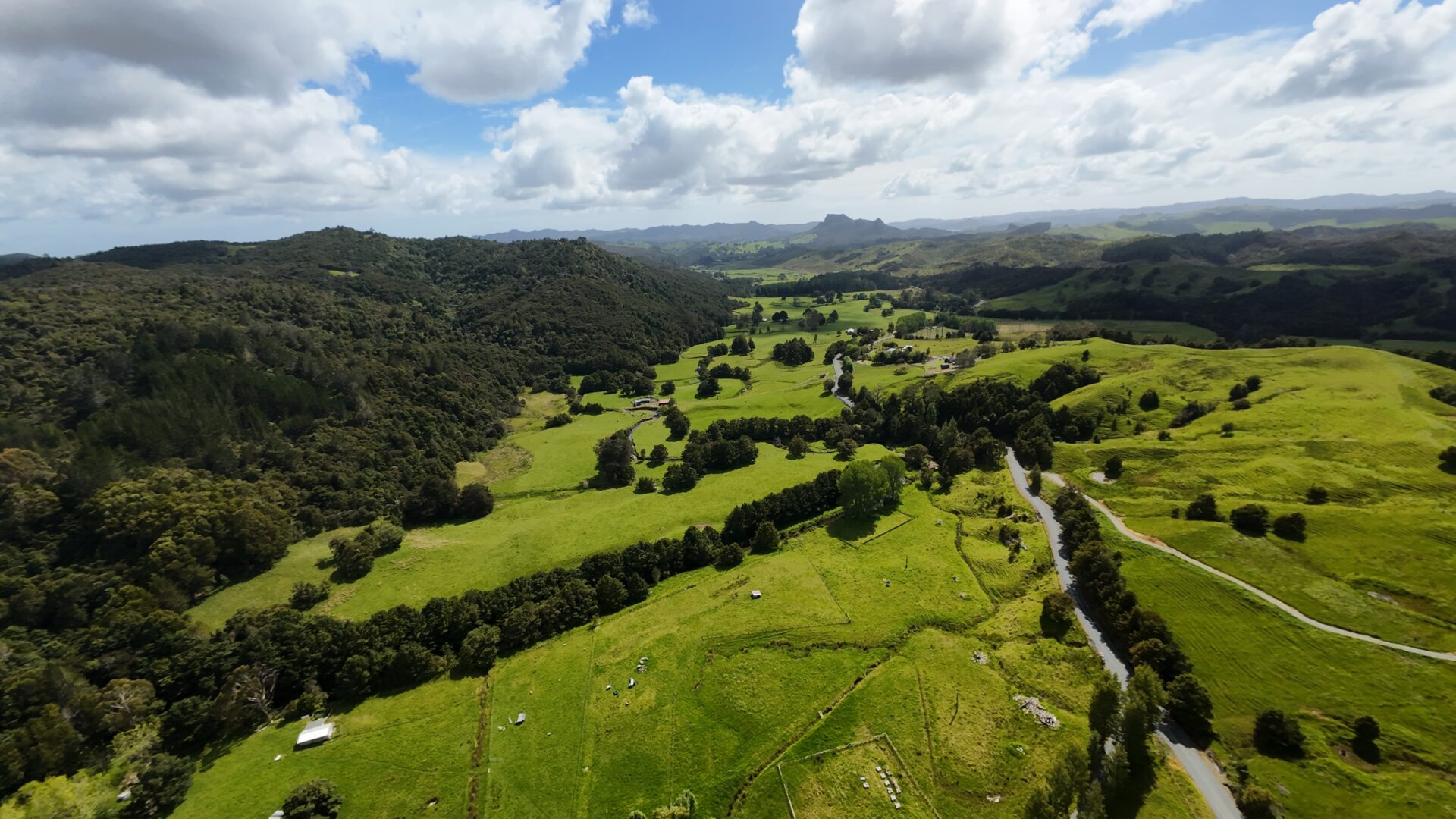 174932503__1763108304-1763108215