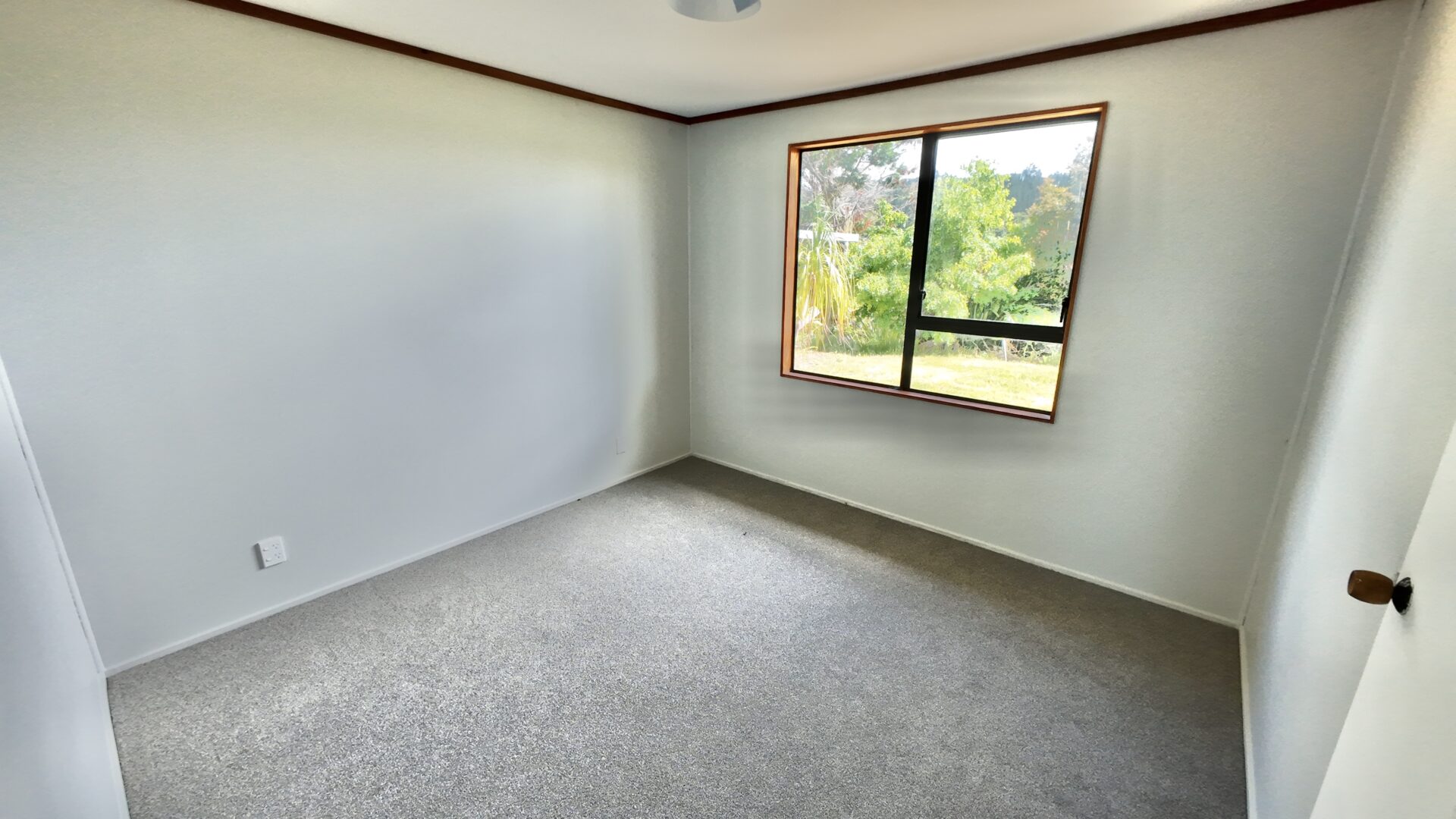 174932587__1763108534-1763108446