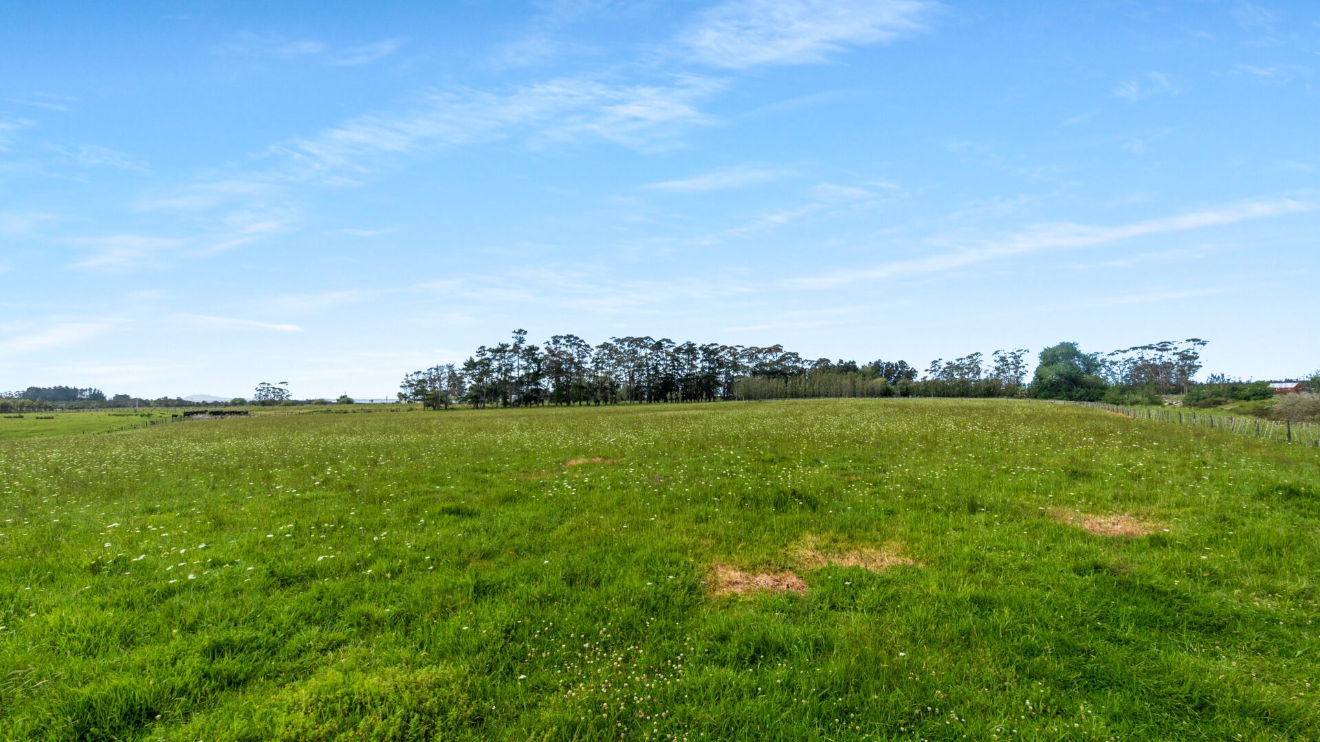 174947381__1763158525-13900-20251103-DSC04696